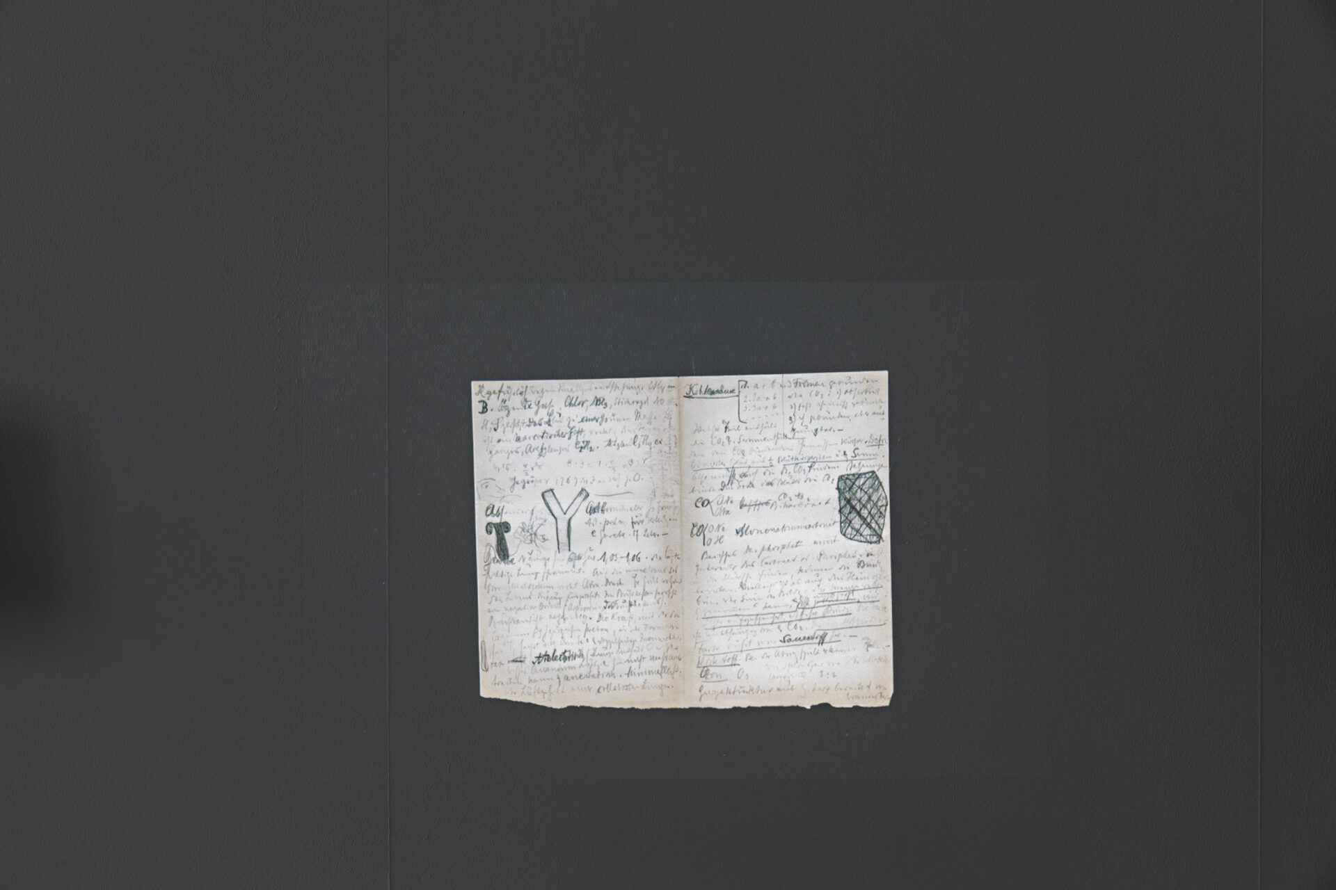 Heinz Peter Knes, Hannah Arendt's Library, 2020, detail