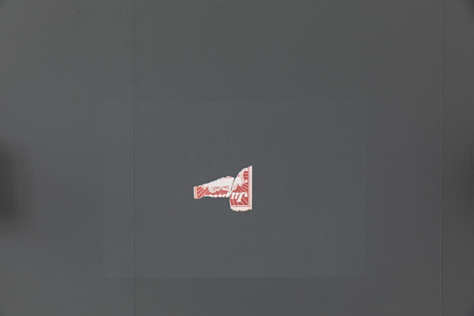 Heinz Peter Knes, Hannah Arendt's Library, 2020, detail 2