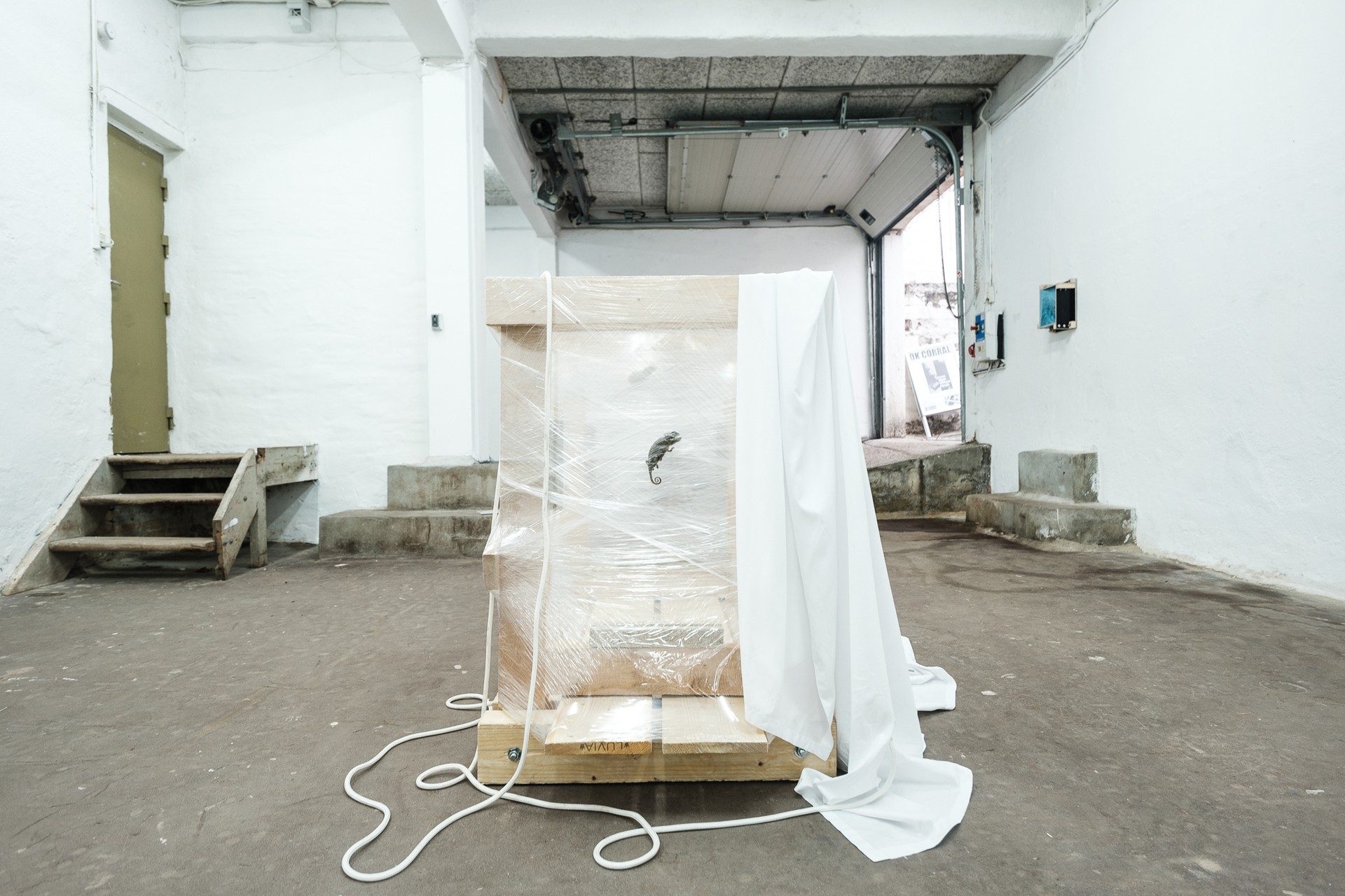 David Haack Monberg, Exo Exo Exo Exo I, 2019, wooden structural support for shipping, LDPE stretch film, dried chameleon, rope, dye-sublimation on fabric [last automated scan of lost parcel], variable dimensions