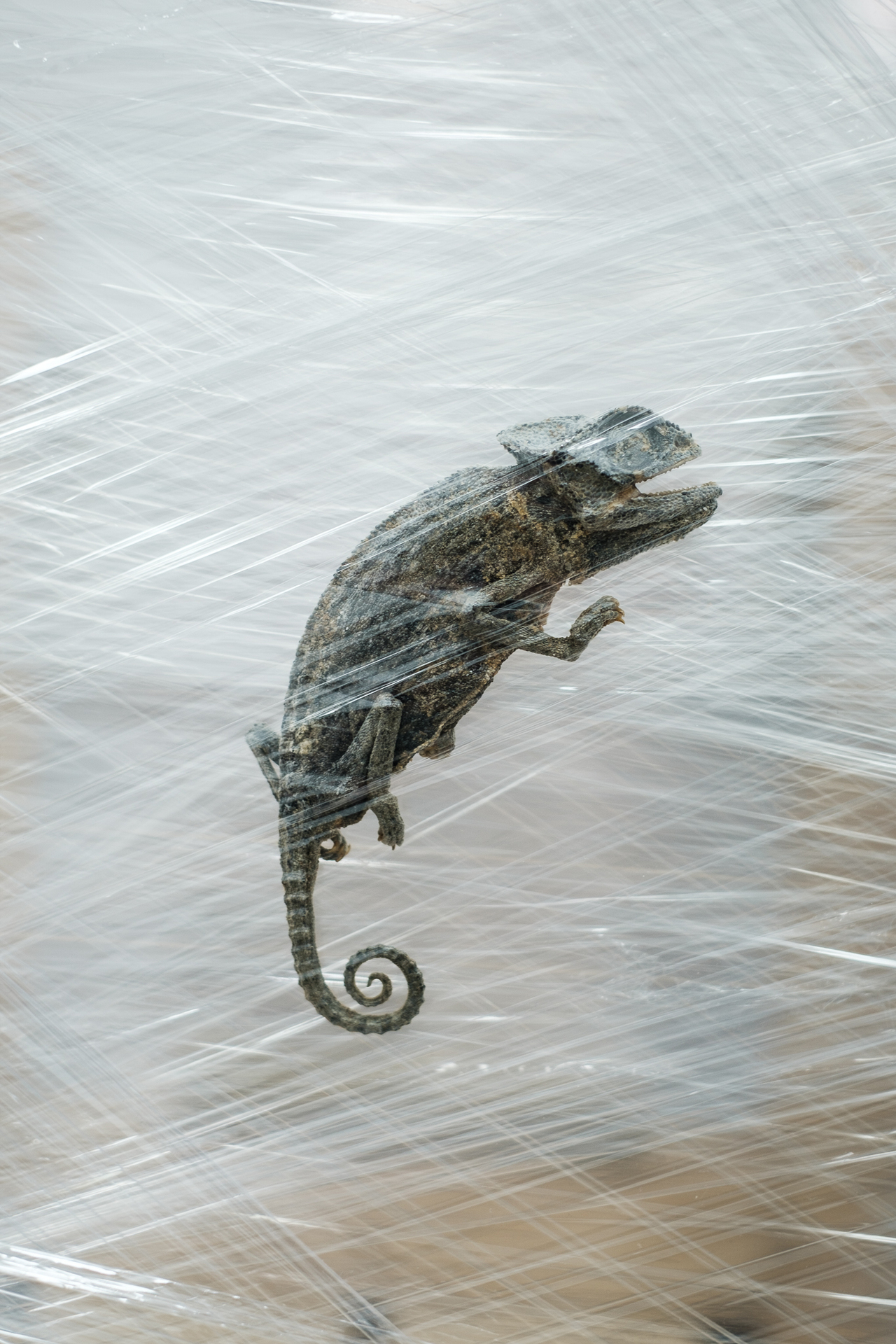 David Haack Monberg, Exo Exo Exo Exo I, 2019, detail