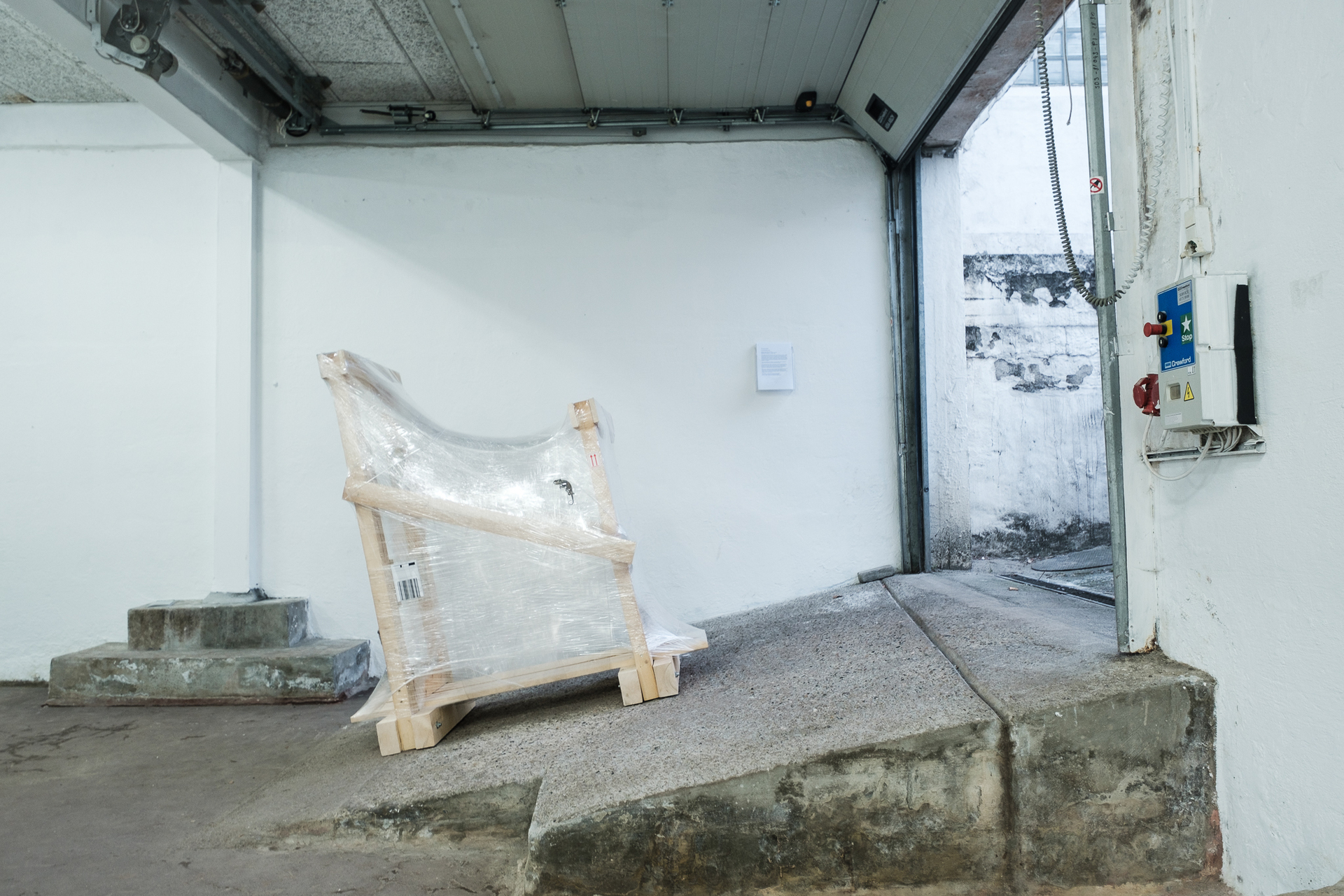 David Haack Monberg, Exo Exo Exo Exo II, 2019, wooden structural support for shipping, LDPE stretch film, dried chameleon, variable dimensions