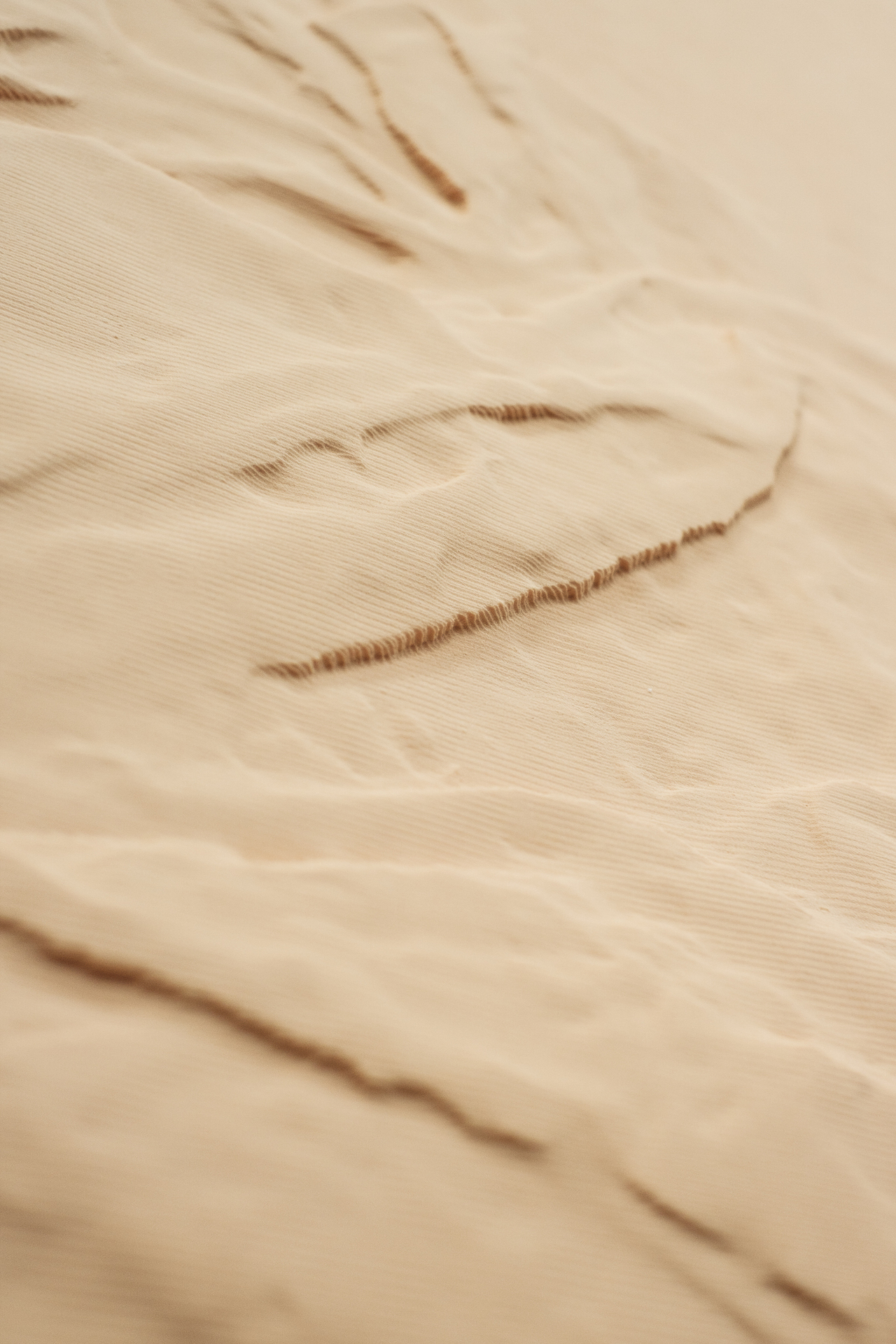 David Haack Monberg, Fata Morgana, 2020, detail