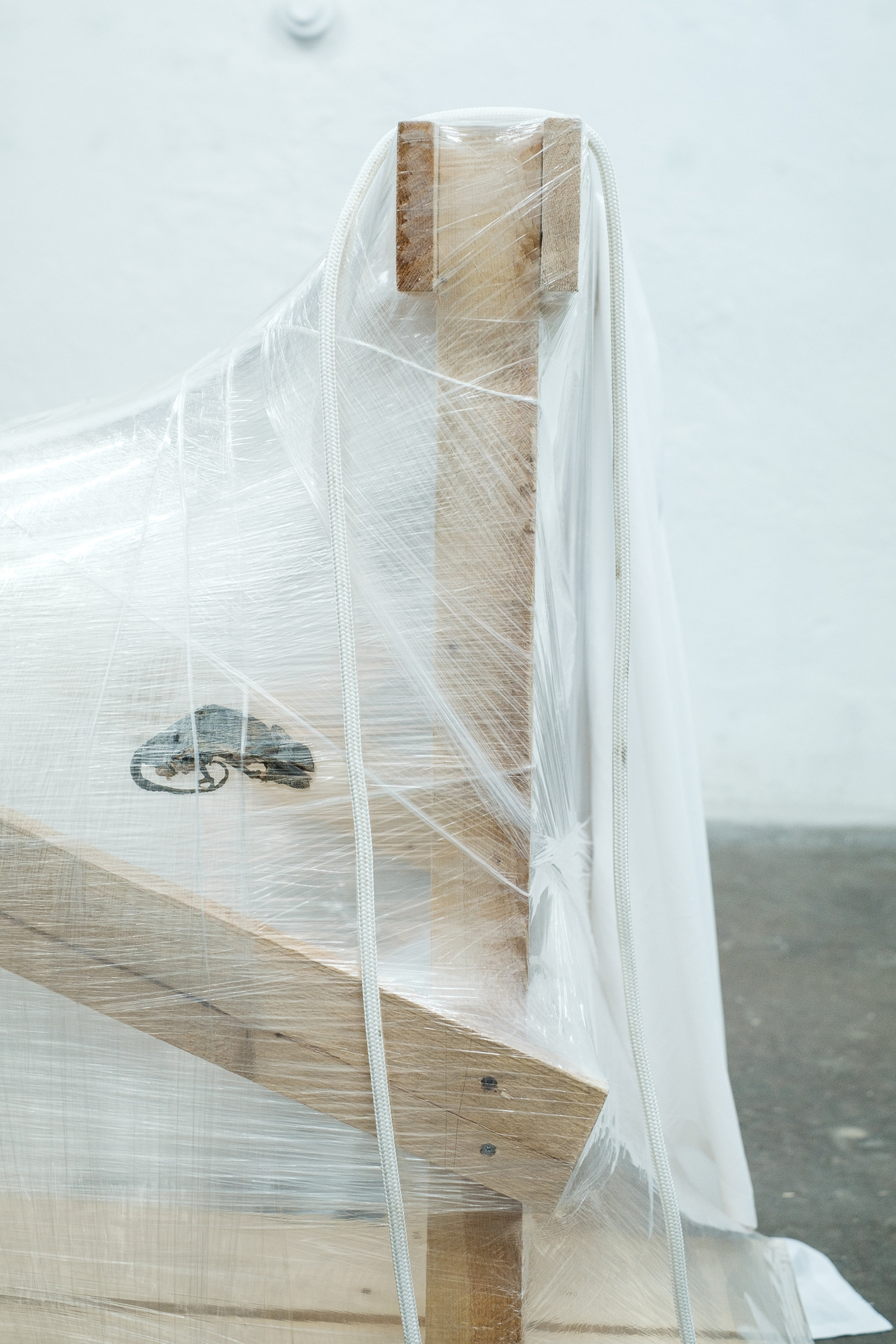 David Haack Monberg, Exo Exo Exo Exo I, 2019, detail 2