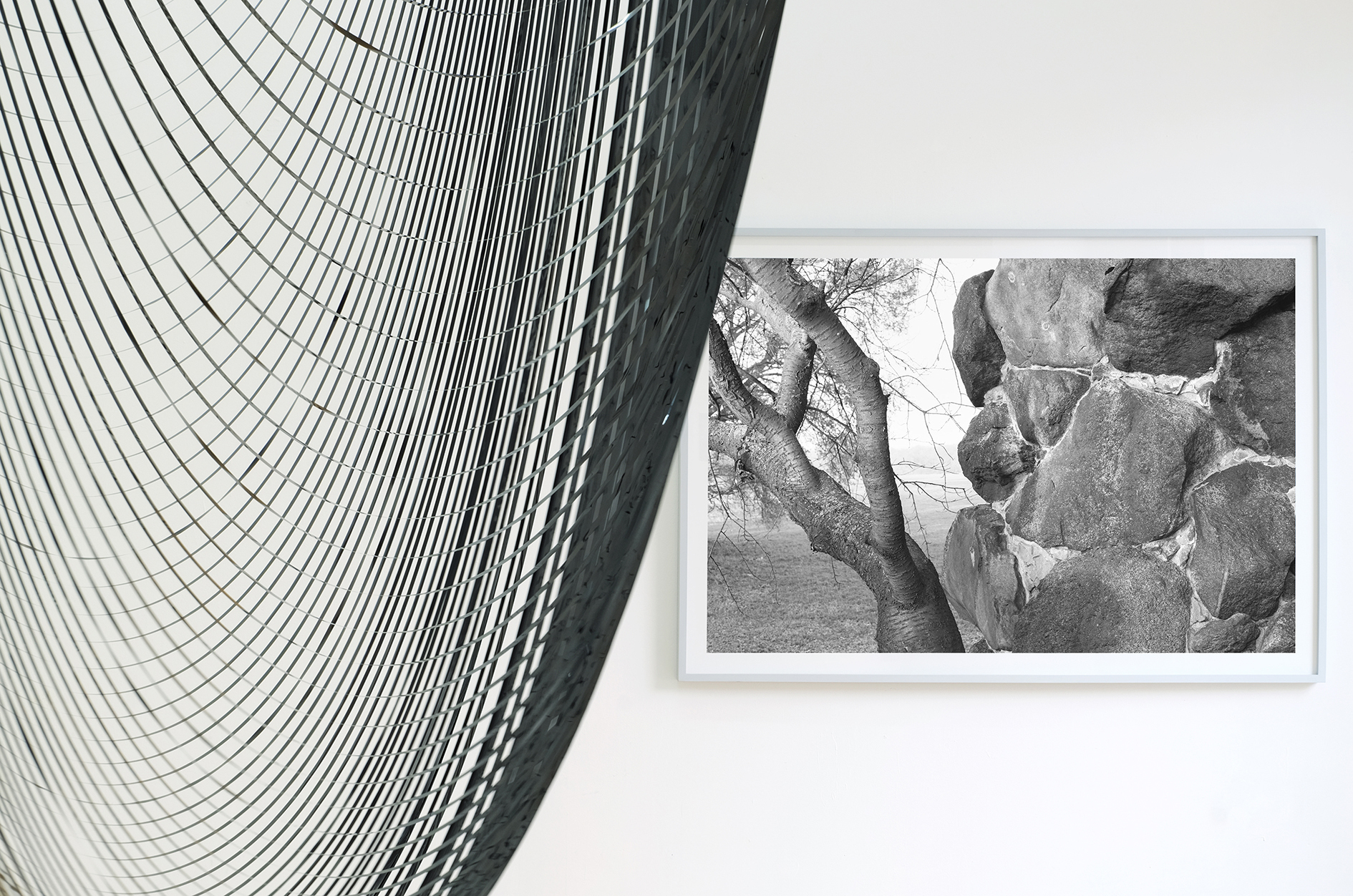Saskia Groneberg, Luisenklippe, pigment print, 90 × 130 cm, 2015, Vanessa Enriquez, Fluctuations, spatial drawing, VHS magnetic tape, variable dimensions, 2020