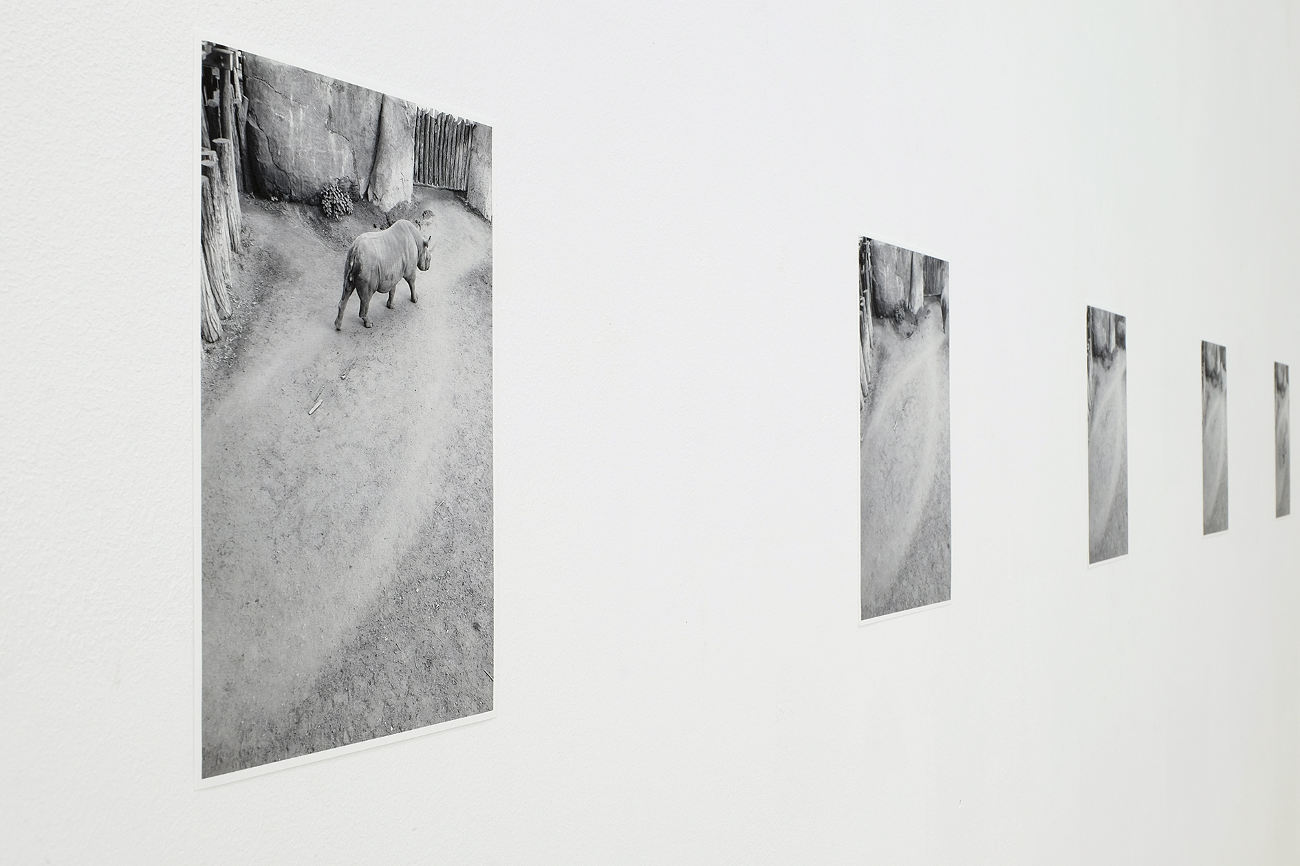 Hayahisa Tomiyasu, ∞, 2018, series of 8 photographs, pigment prints, 22,5 × 17 cm, 2018