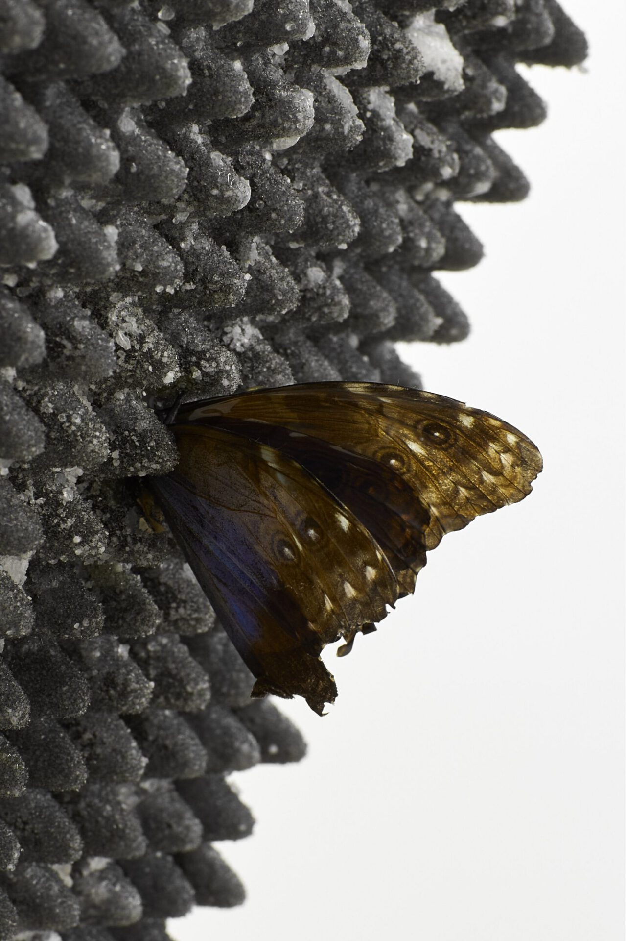 Agata Ingardem, The Mirror, Detail, Courtesy of eastcontemporary, The Future in Reverse, 2020, Milan
