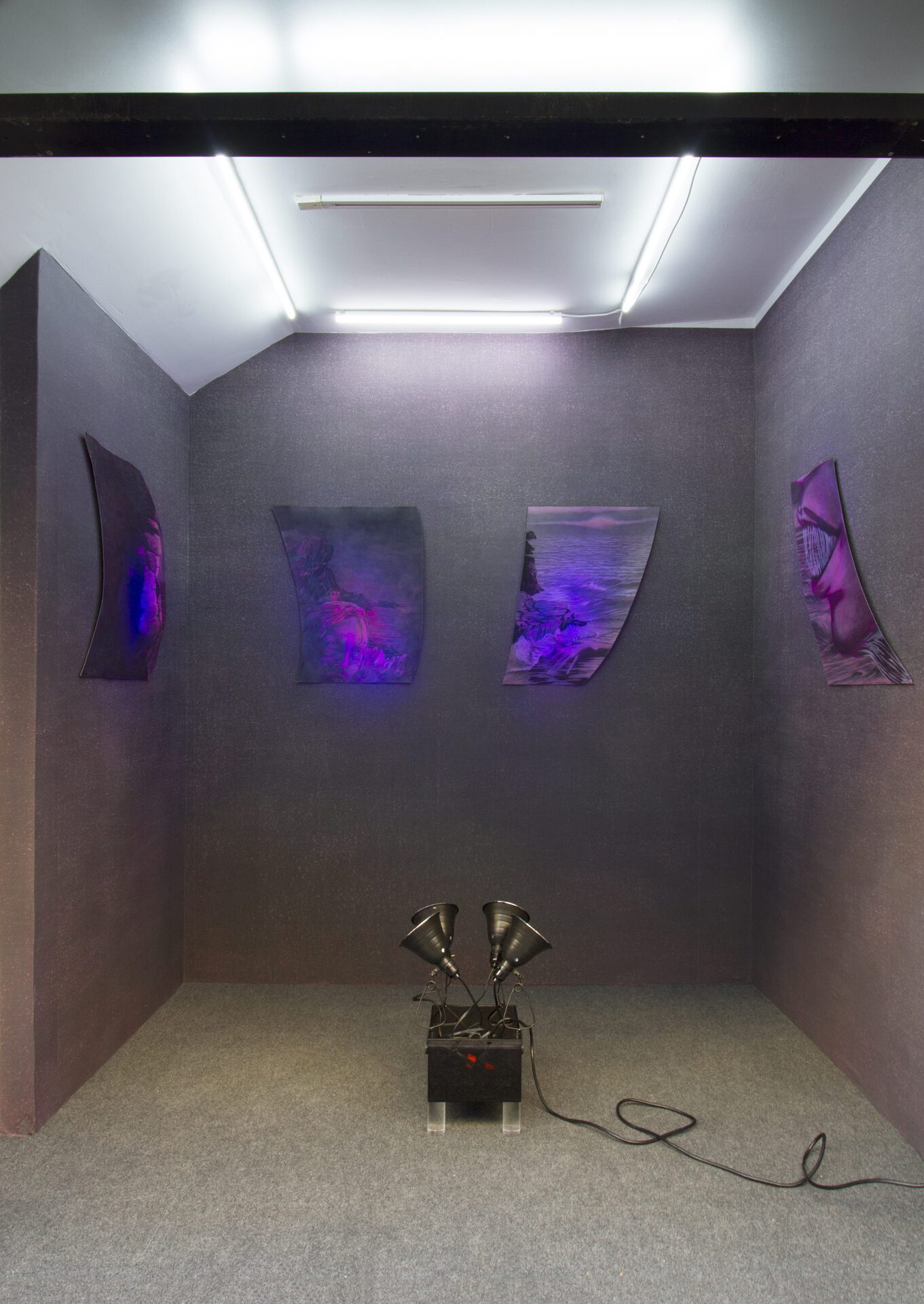 Installation view of What On Earth. Tess Bilhartz