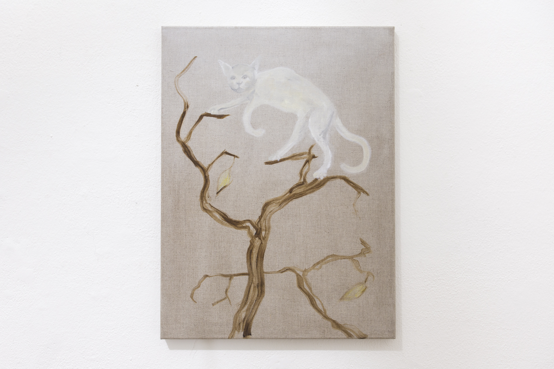 Pauł Sochacki, Untitled, 2018