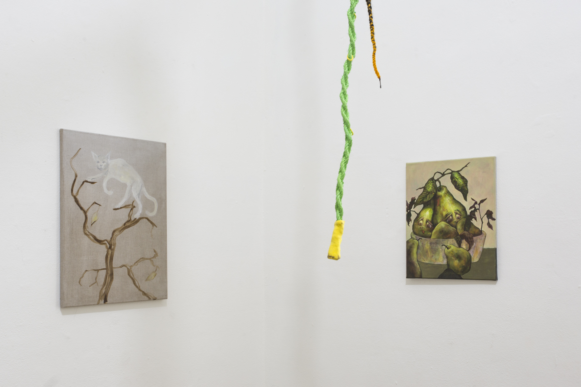 Dwelling at Šopa Gallery, Installation View, 2020