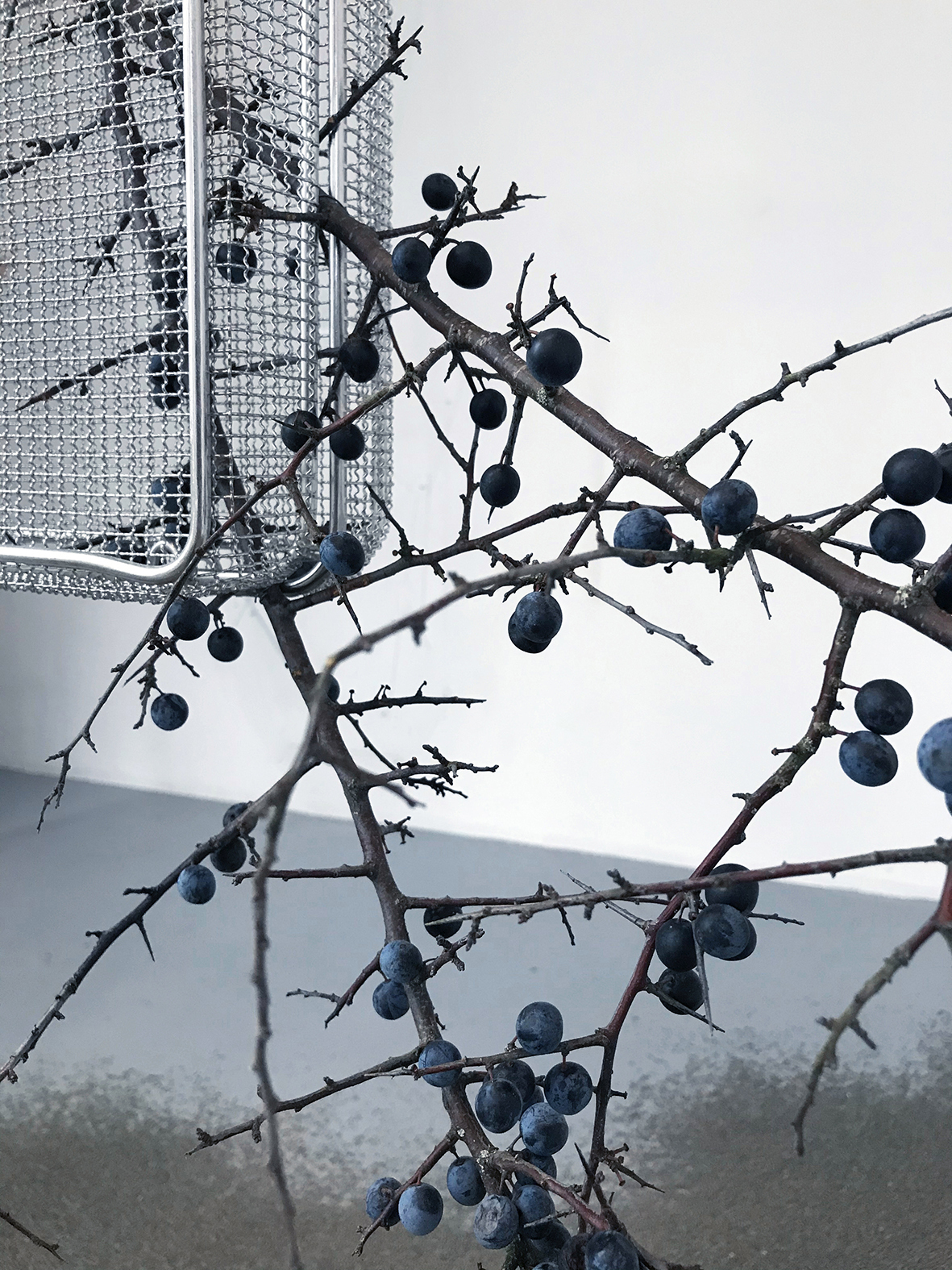 Floryan Varennes, Gothic, my love (details), 2020, Medical sterilization bins, black thorns (Prunus spinosa), medical hooks, cables, 220 x 190 cm