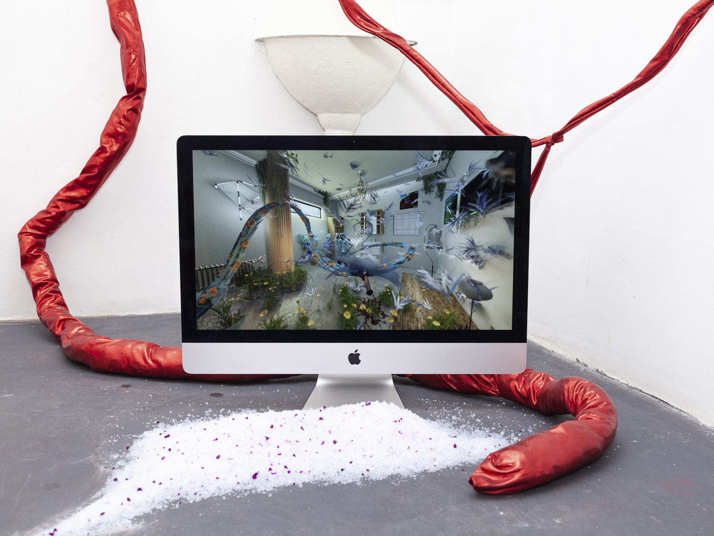 Sam Balfus, 2020, video