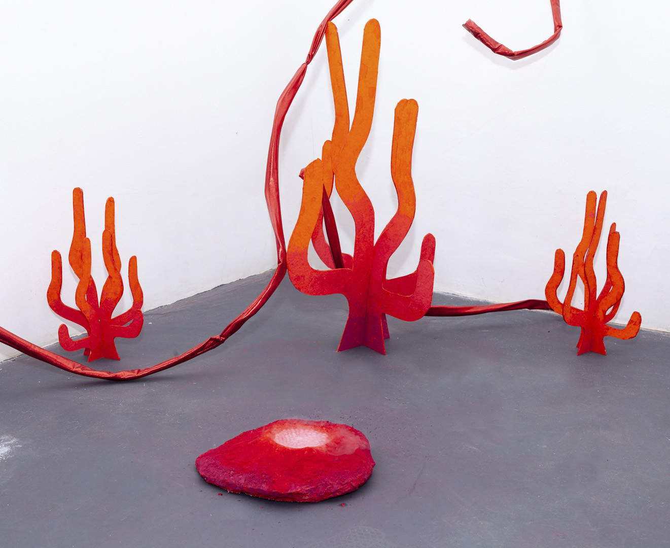 Joanna Tochman, exhibition view