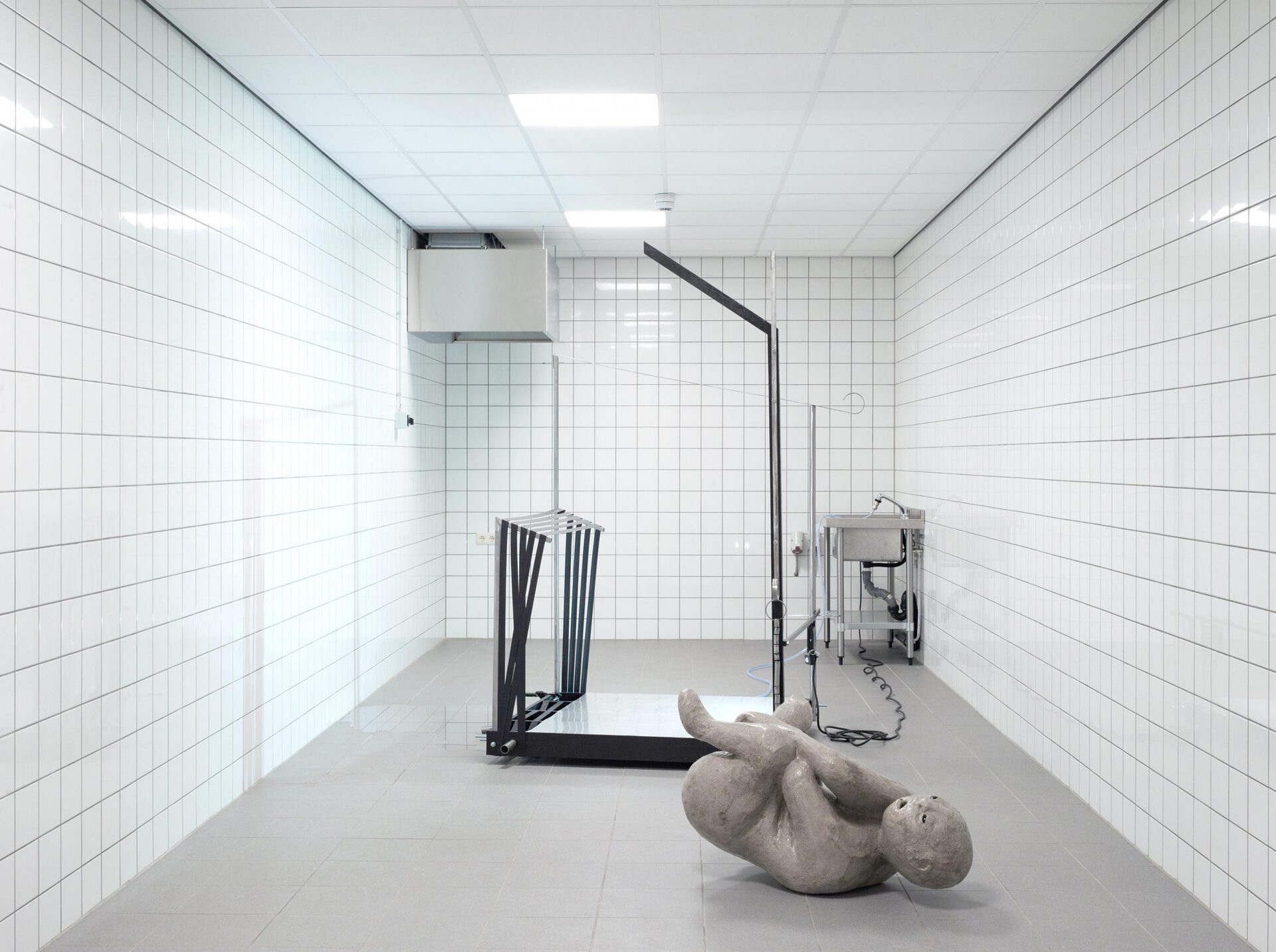 Miriam Kongstad, The Onset Of Fever, 2020, mixed media, dimensions variable