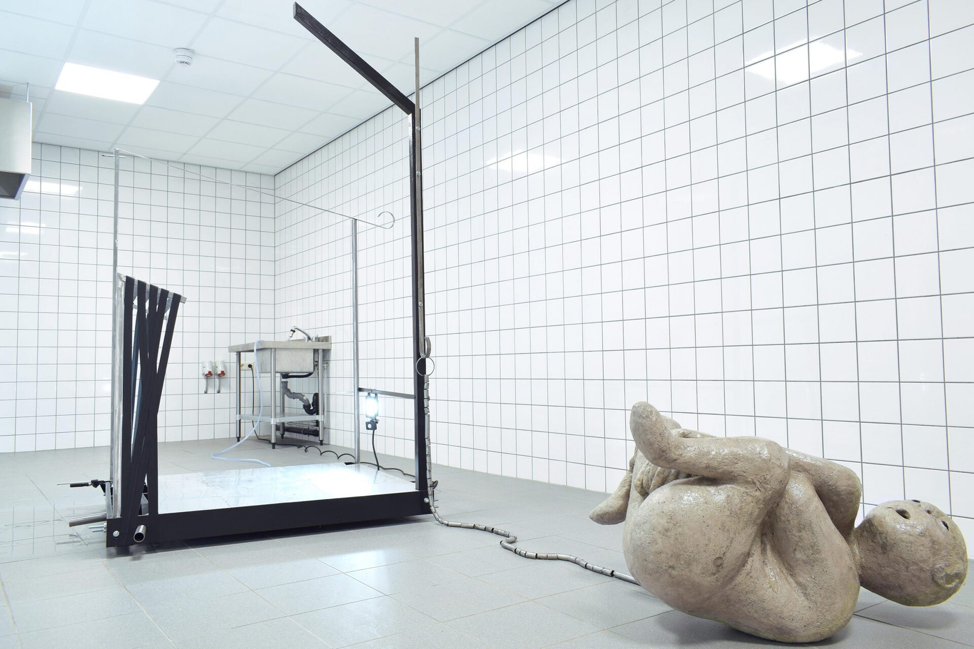Miriam Kongstad, The Onset Of Fever, 2020, mixed media, dimensions variable