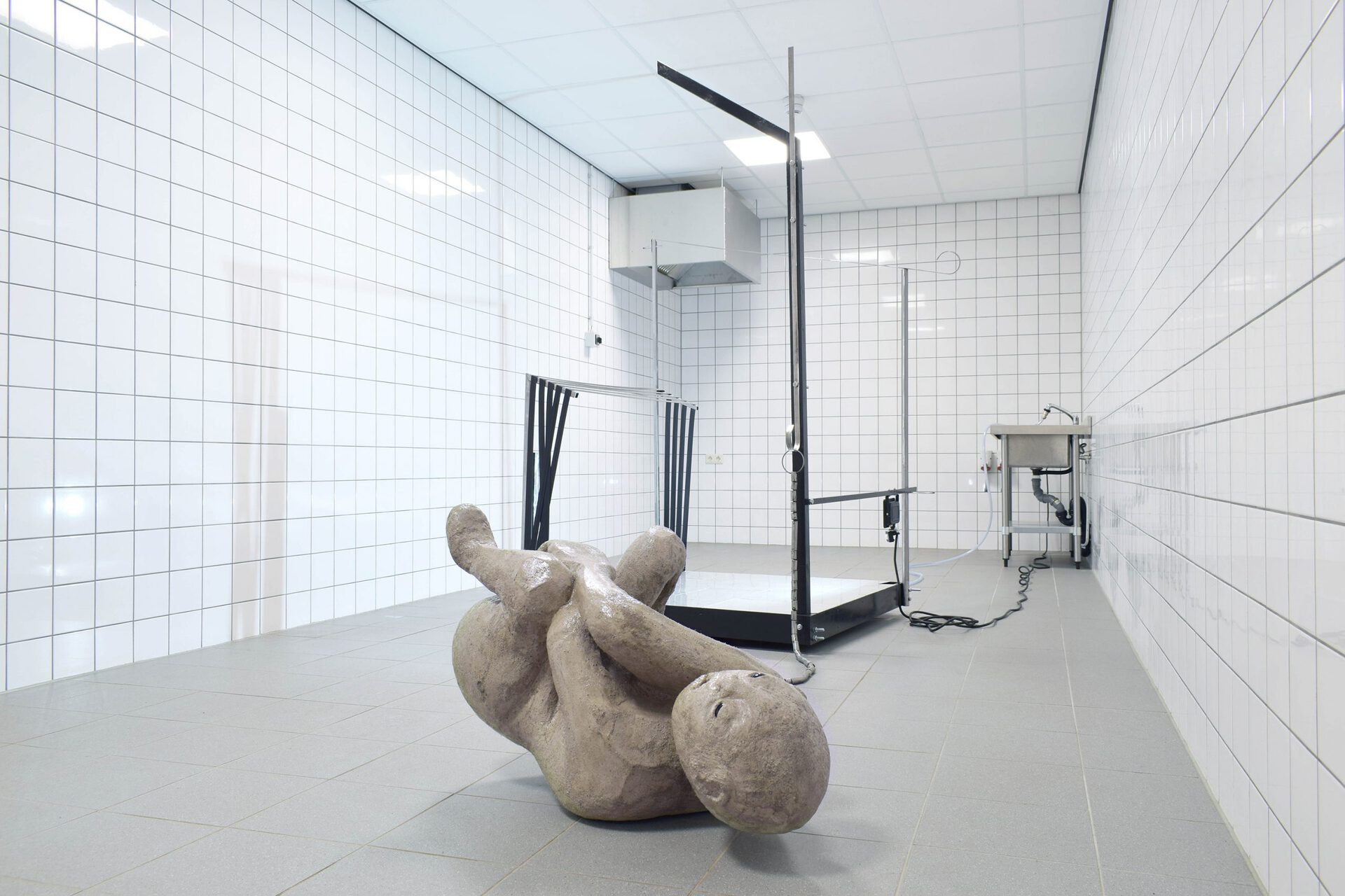 Miriam Kongstad, The Onset Of Fever, 2020, mixed media, dimensions variable