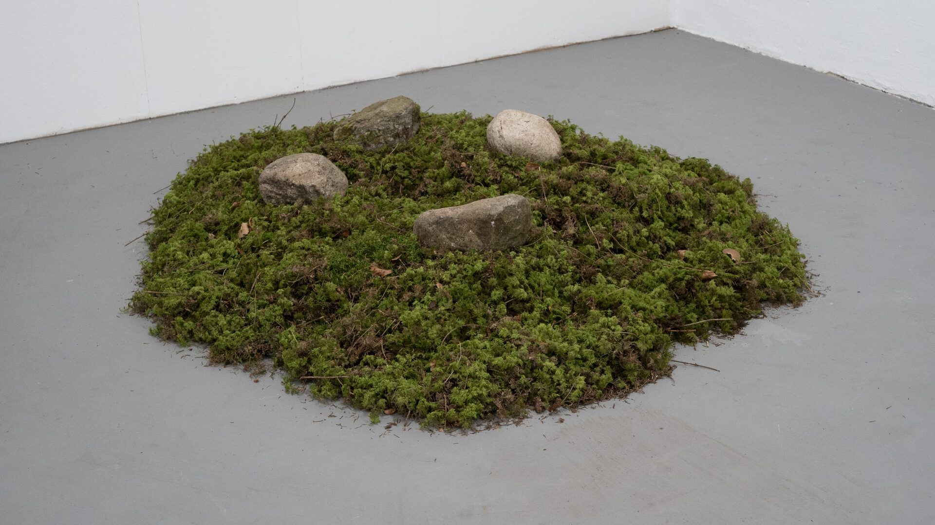 Vincent Scheers, 4 rocks planning a murder, 2020, rocks, moss, speakers, cable, audio-interface.