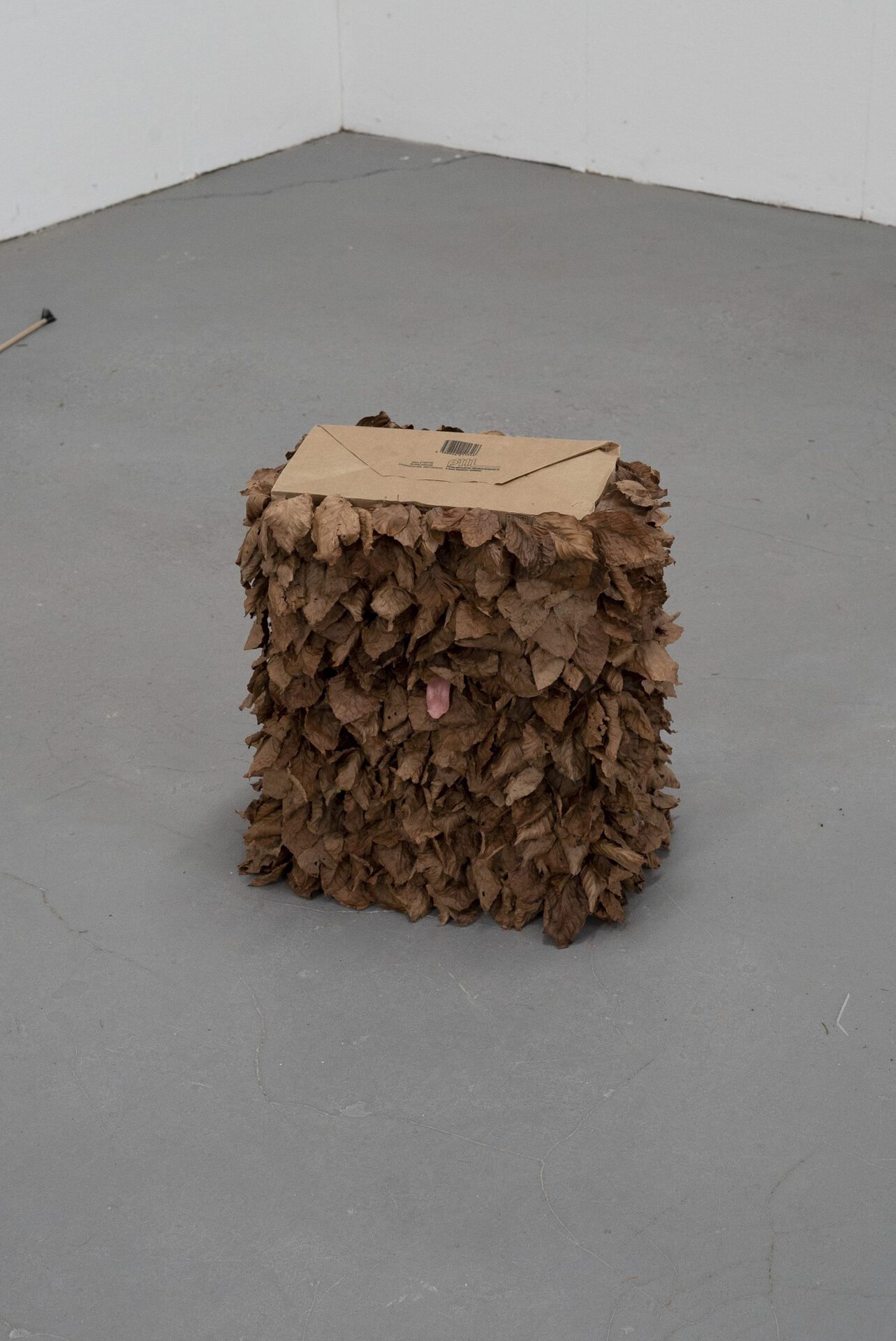 Vincent Scheers, The neighbours, 2020, Paperbag,leaves, taxidermy tongue, 20x40x60cm