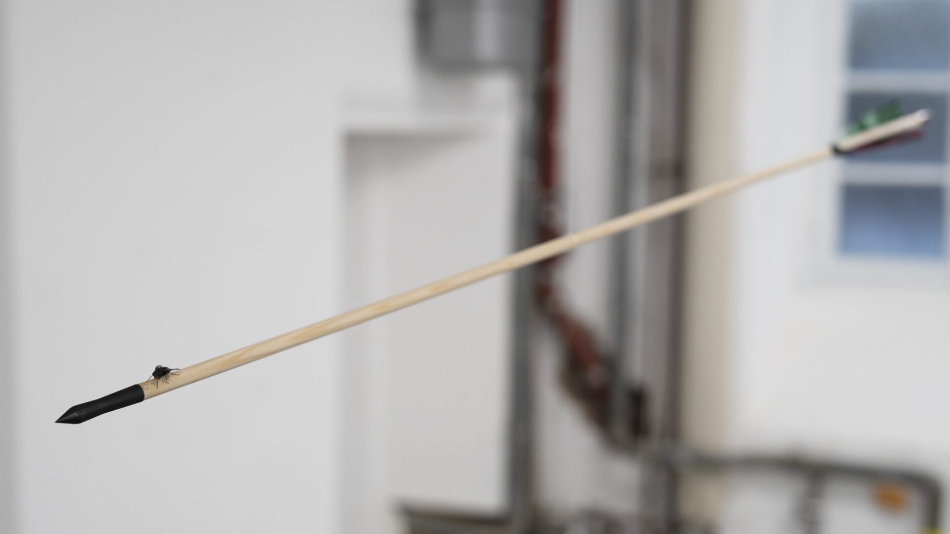 Vincent Scheers, The day the fly decided to go for a ride, 2020, wooden arrow, fly