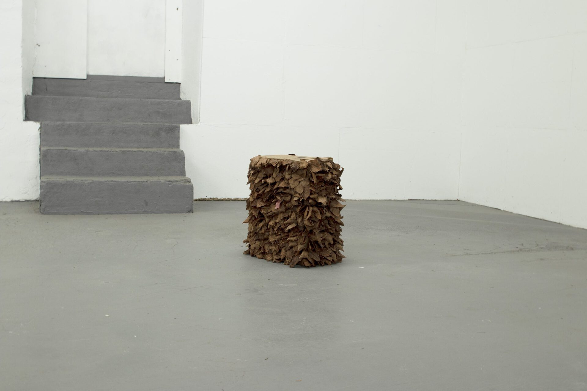 Vincent Scheers, The neighbours, 2020, Paperbag,leaves, taxidermy tongue, 20x40x60cm
