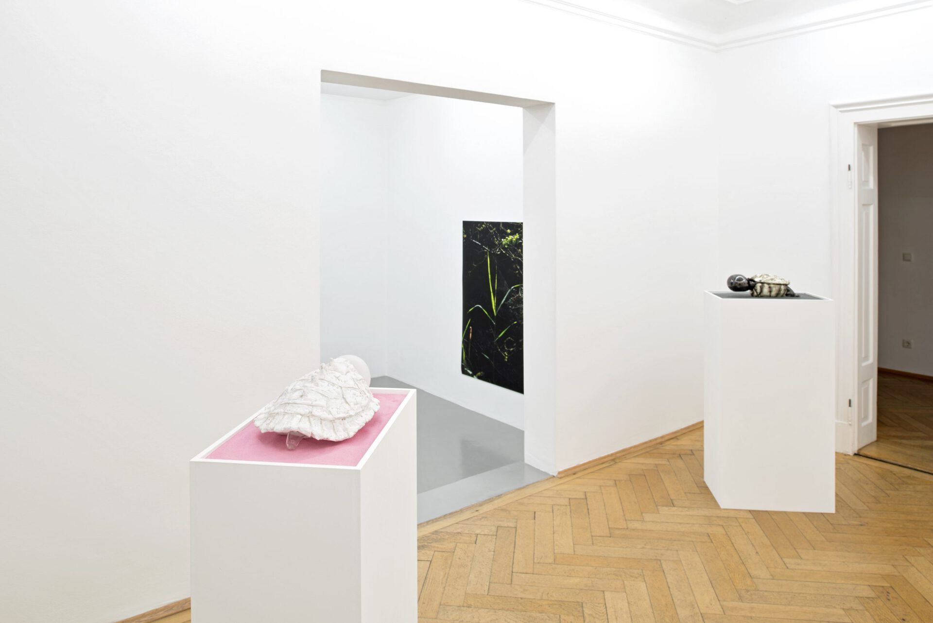 a skeleton, just like the rest of us, Installation view, Galerie Christine Mayer, Munich, 2020