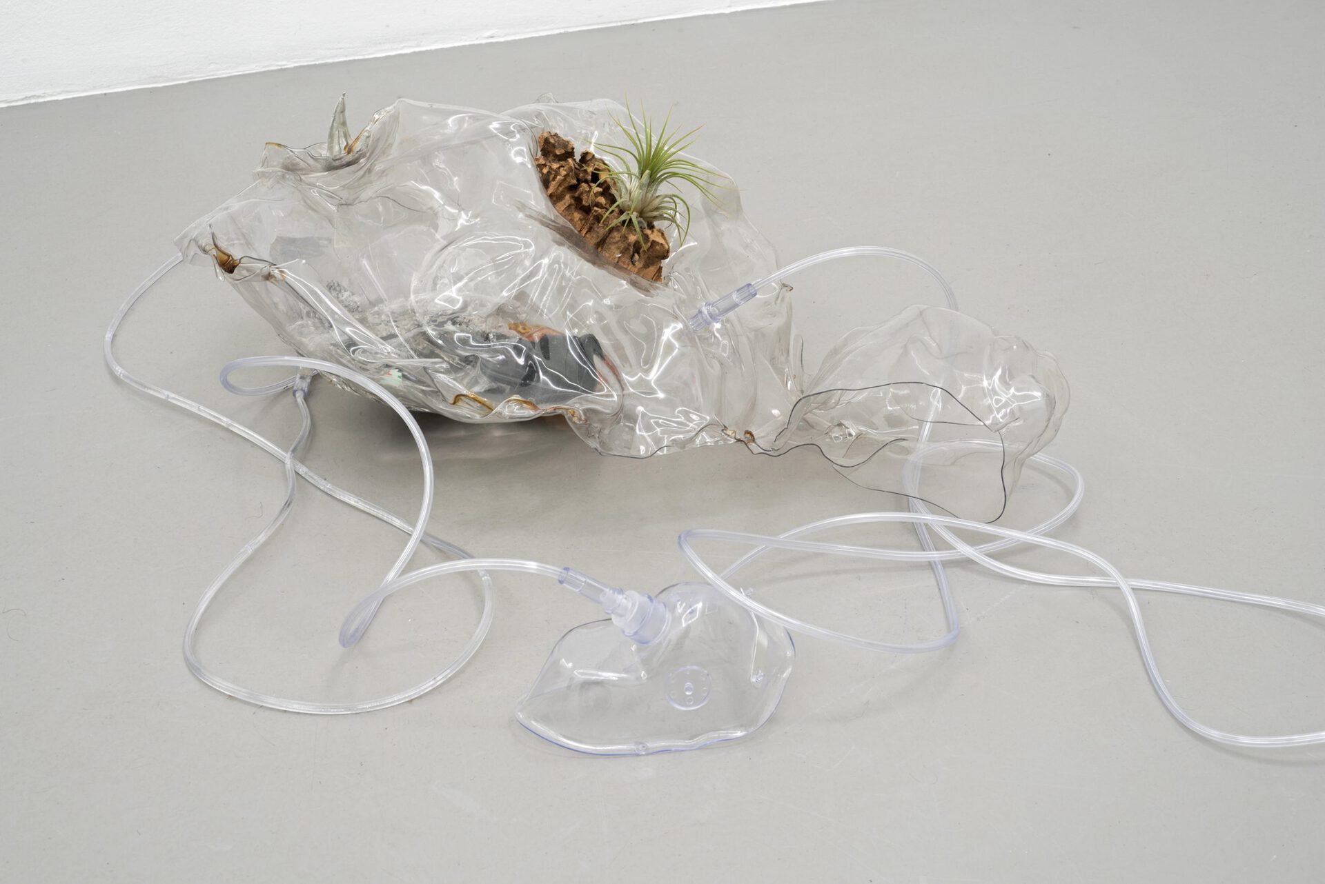 Yein Lee, My stomach feels funny I, 2019, transparent PVC sheet, epoxy resin, broken cellphones, trapped two ants, a tillandsia, broken cables, three found insects, 51 x 29 x 17 cm