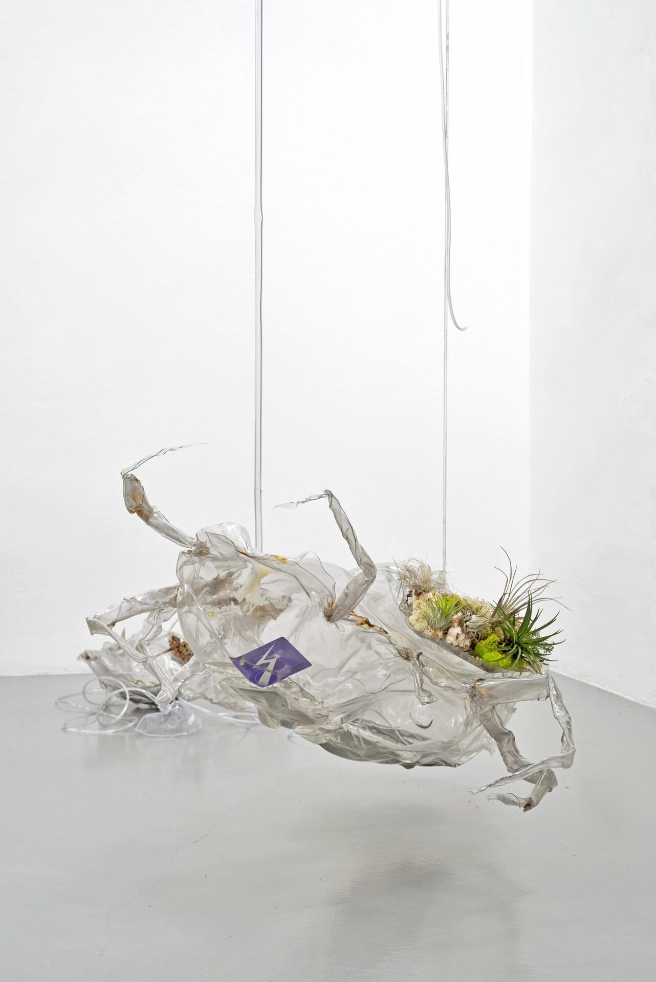 Yein Lee, My stomach feels funny II, 2019, transparent PVC sheet, epoxy resin, broken cellphones, broken tablet,trapped two ants, a tillandsia, broken cables, 97 x 63 x 30 cm