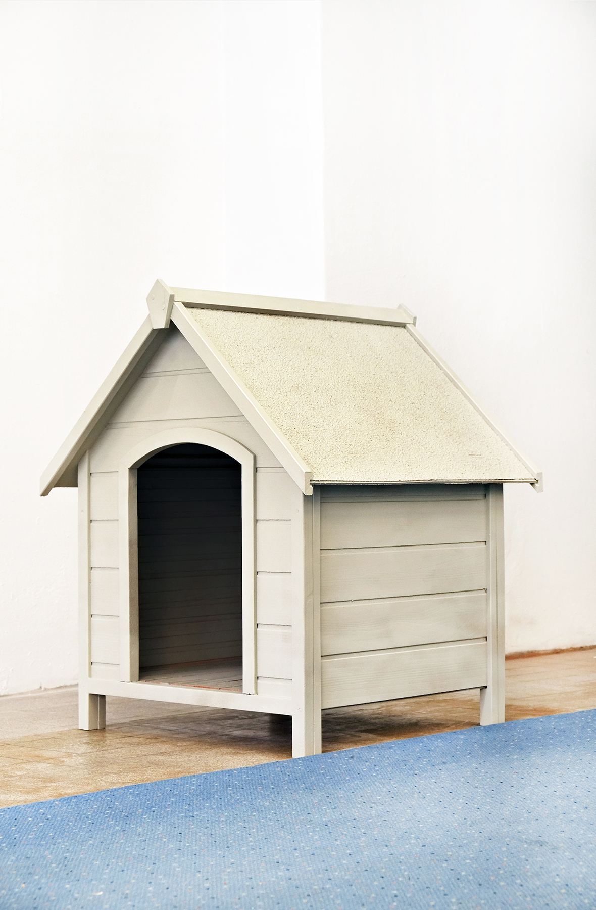 Svenja Björg Wassill, "Extended Evolutionary Synthesis“, 2020, wooden doghouse and acrylic paint, 85 x 71 x 68 cm