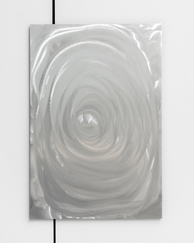 Marte Eknæs, Coenzyme, 2020, brush drawing on aluminium, 56 x 38 cm