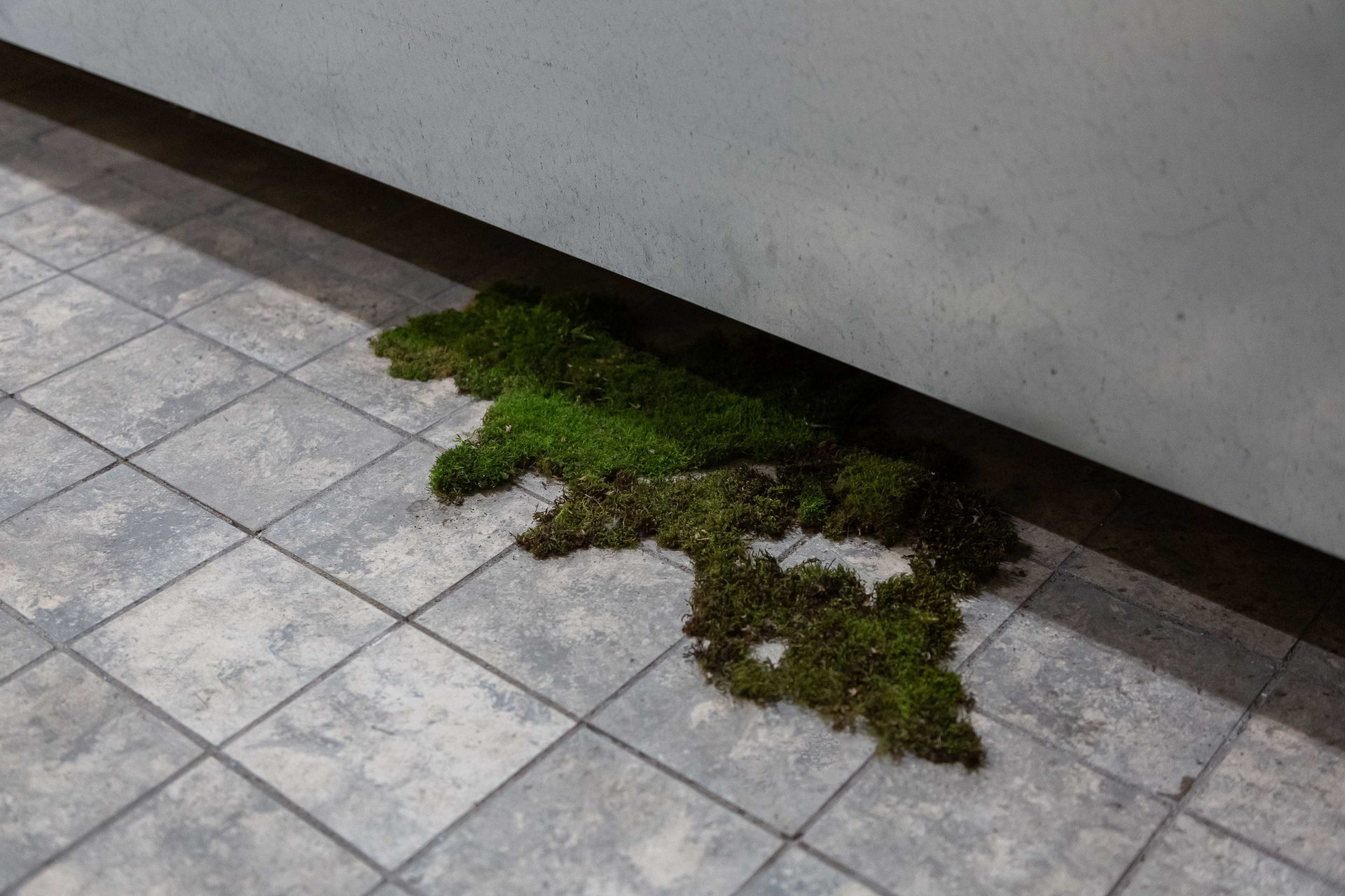 Elvira Axt, pass the blame, 2020, mixed media installation, dimensions variable, Detail 11.
