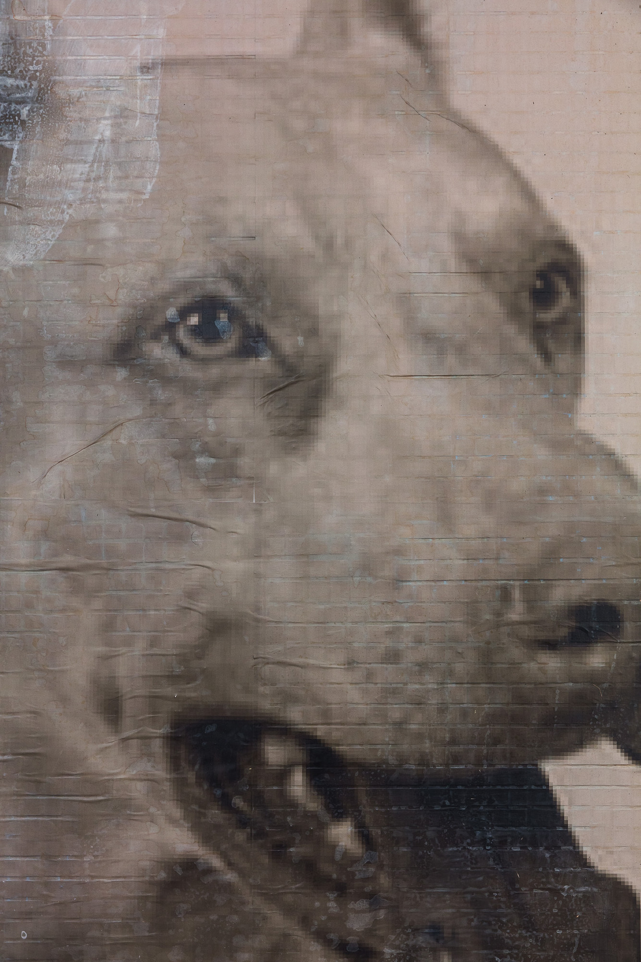 6Schirin Charlot, Hunde, 2020, inkjet print & tile relief 196 x 125 cm