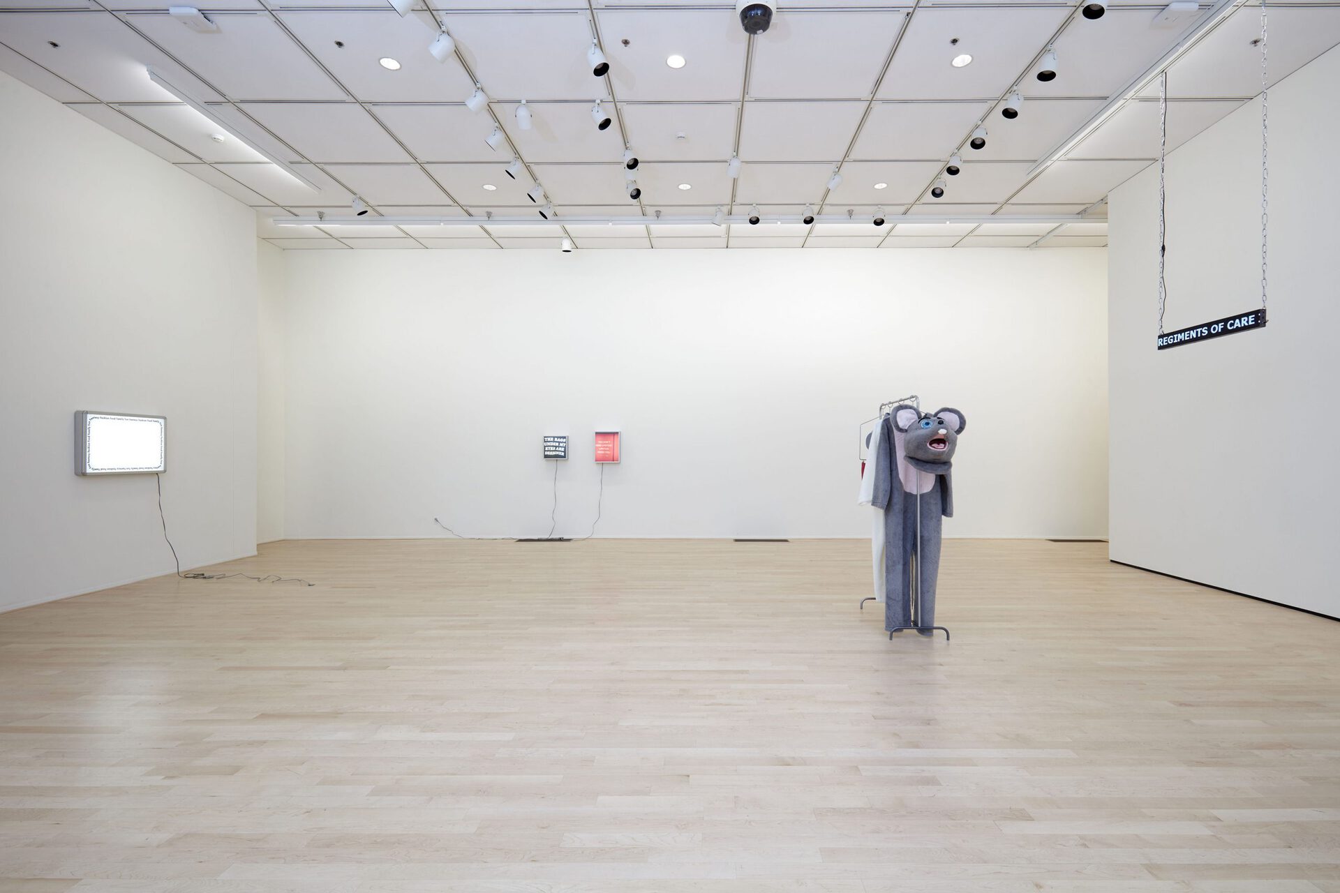 Ellen Schafer, Adult Costume installation view.