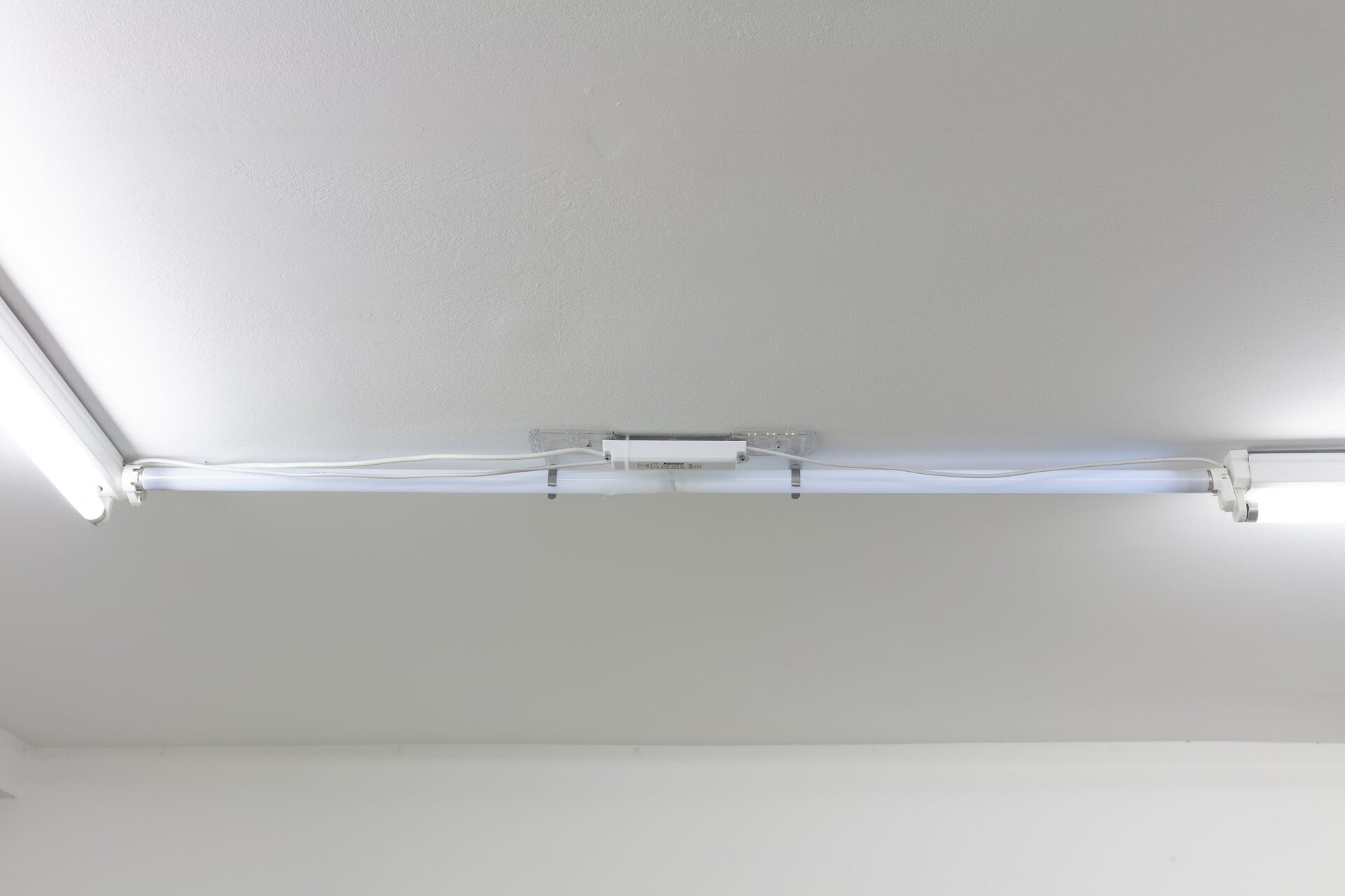 "Cosmopolitan Haze", installation view at BUNGALOW, Berlin, 2020