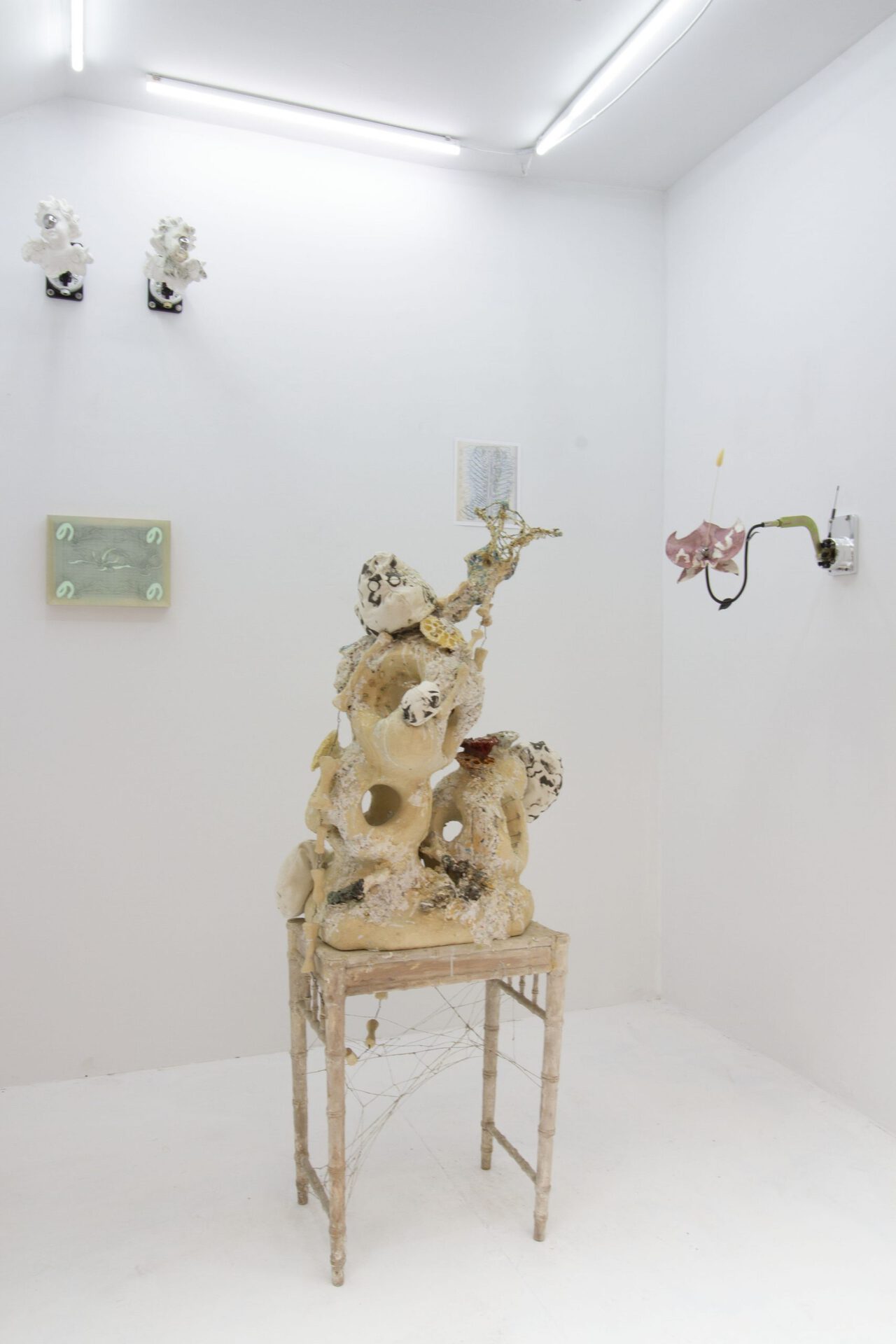 Installation view of Dissecting the Cyborgian Swamp Thang