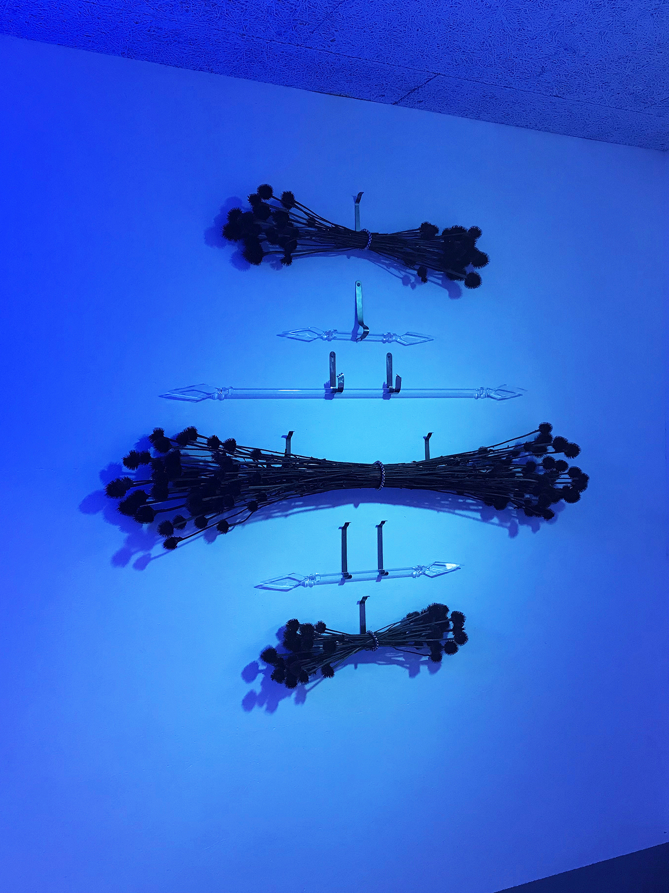 Floryan Varennes, Panoply 2.0 (détail), 2020 Double glass arrows, medical spacers, echinacea purpurea, steel chains, blue light. Collaboration: Cardis Glass Works, Switzerland. 130 x 140 cm