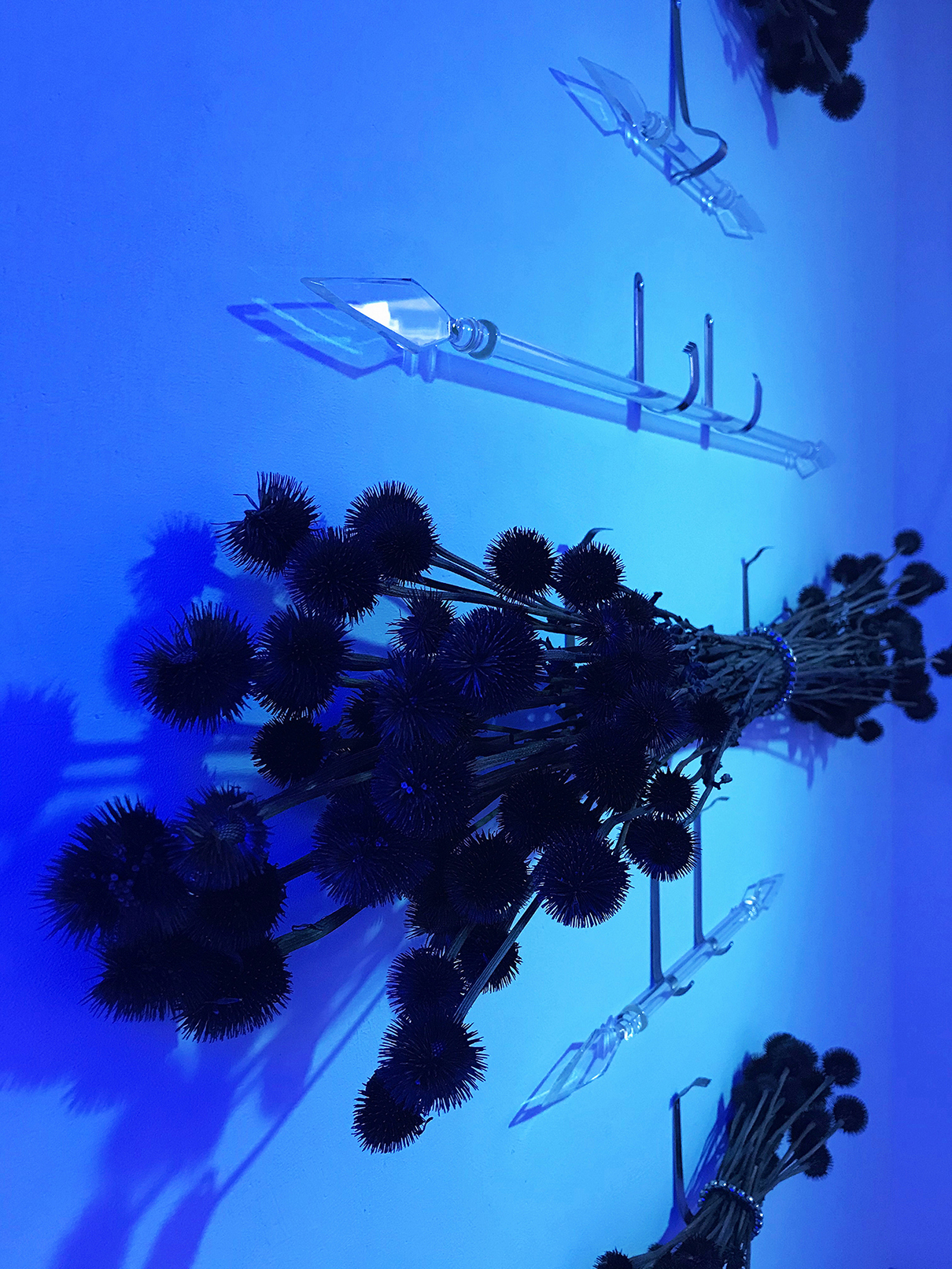 Floryan Varennes, Panoply 2.0, 2020 Double glass arrows, medical spacers, echinacea purpurea, steel chains, blue light. Collaboration: Cardis Glass Works, Switzerland, 130 x 140 cm