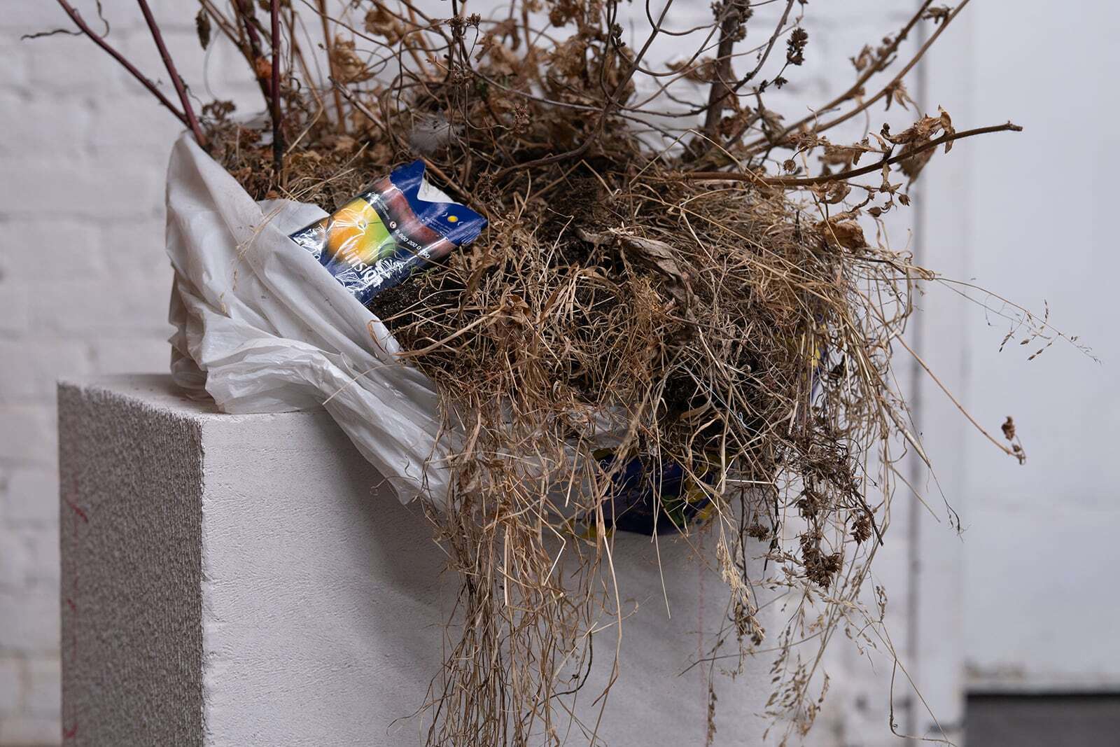 Alina Brovina, Crushing on You (detail), 2020, Gas concrete, bag, earth, plantain, withered goldenrod, 192х25х30 сm.