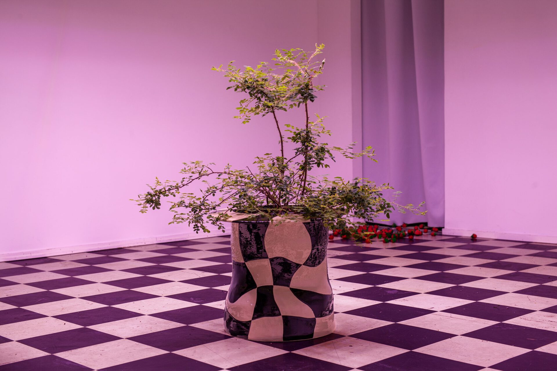 Fairfarren by Man Yau: Ceramic, underglaze, glaze, 39 cm x 47 x 47 cm, 2021