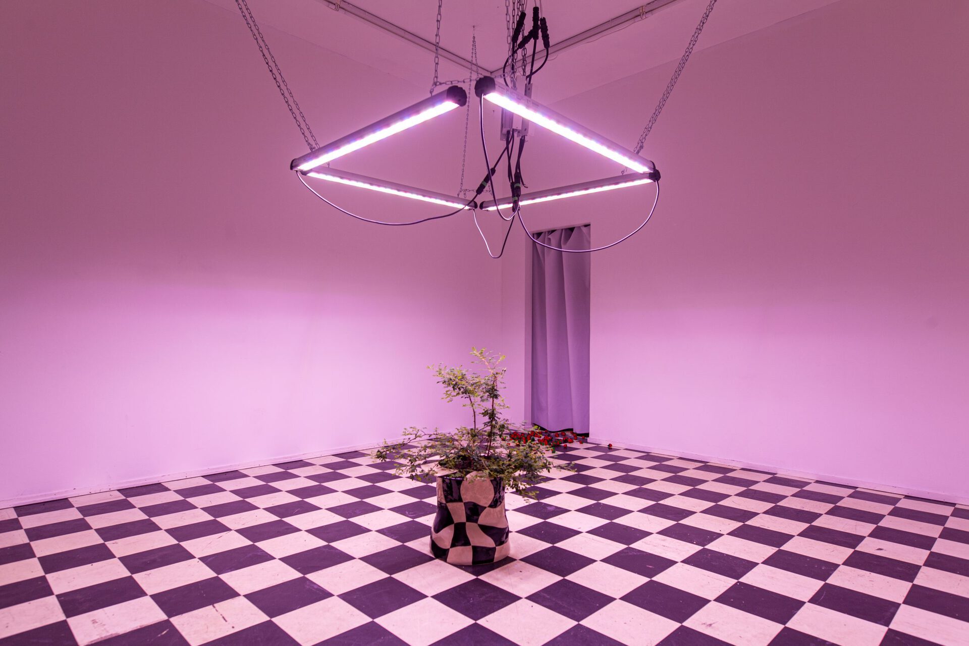 Installation overview, 2021