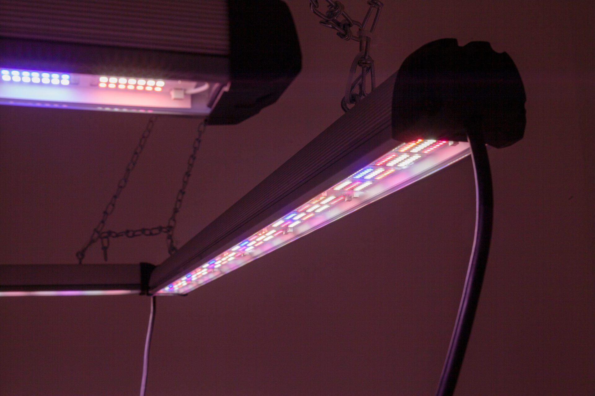 Lights: Greenhouse lights from VALOYA Oy, chains, timer, 2021