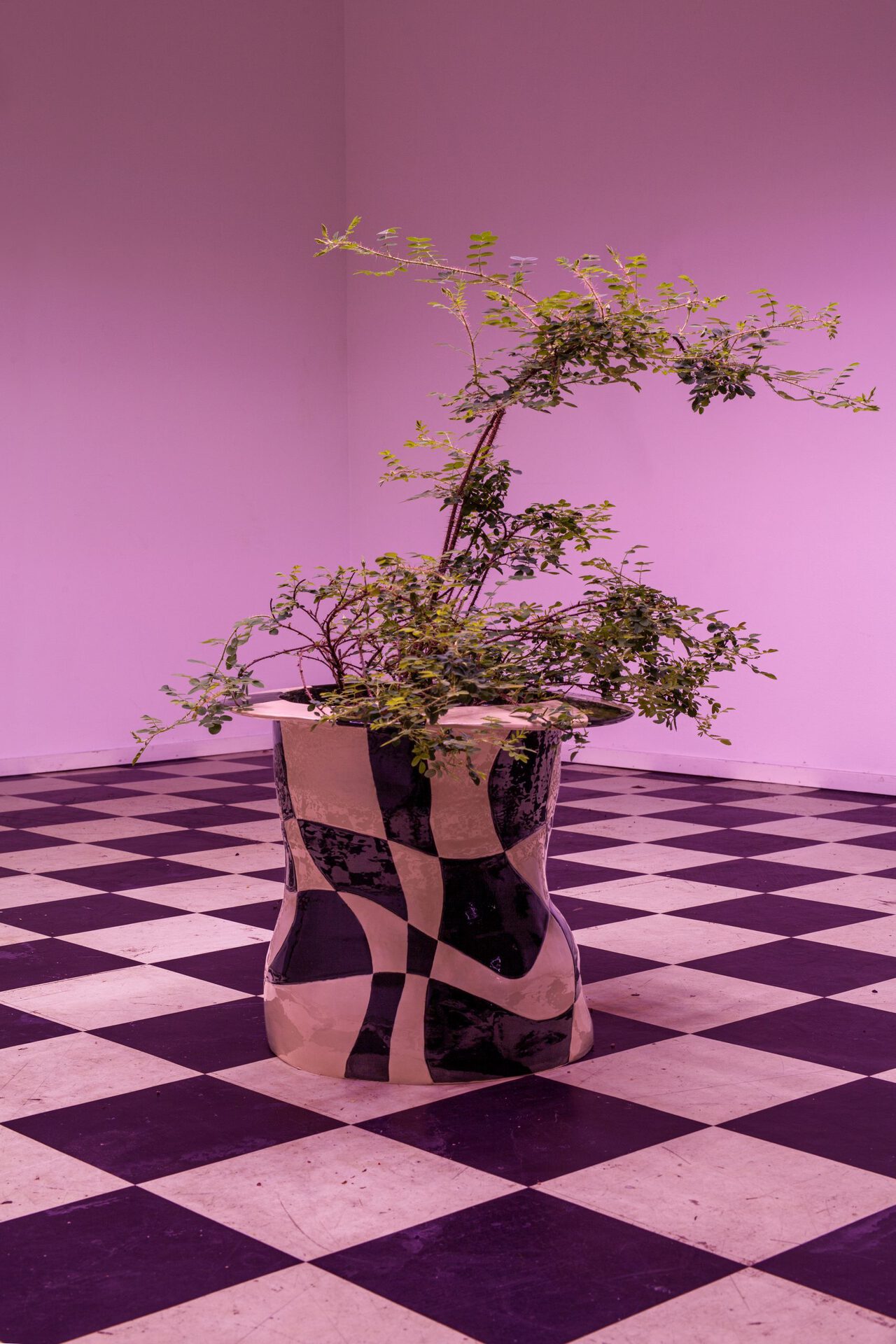 Fairfarren by Man Yau: Ceramic, underglaze, glaze, 39 cm x 47 x 47 cm, 2021
