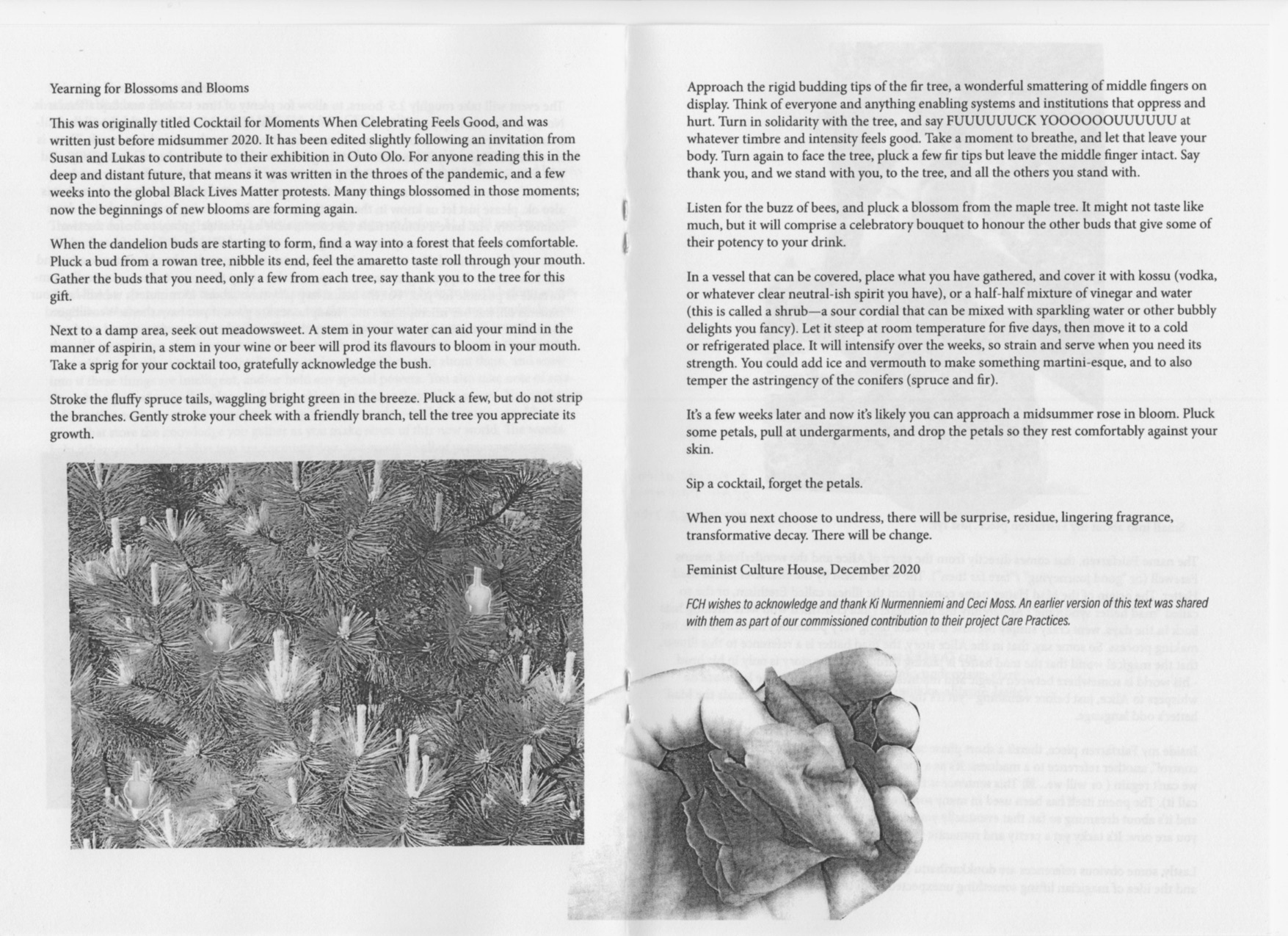 Midsummer Rose: Publication, A5 size, contribution by Feminist Culture House