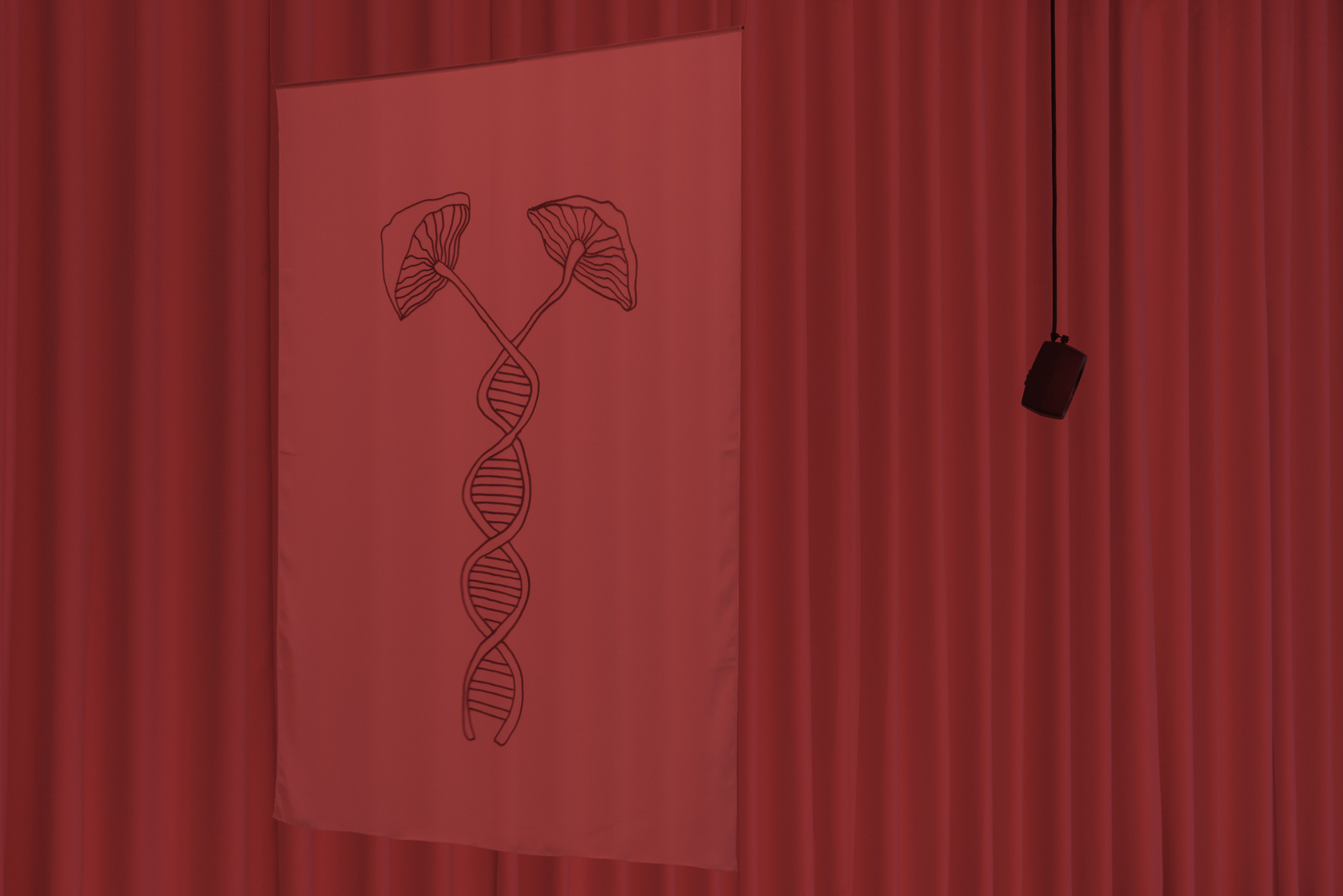 Diana Policarpo, Bodies We Care For, 2020.