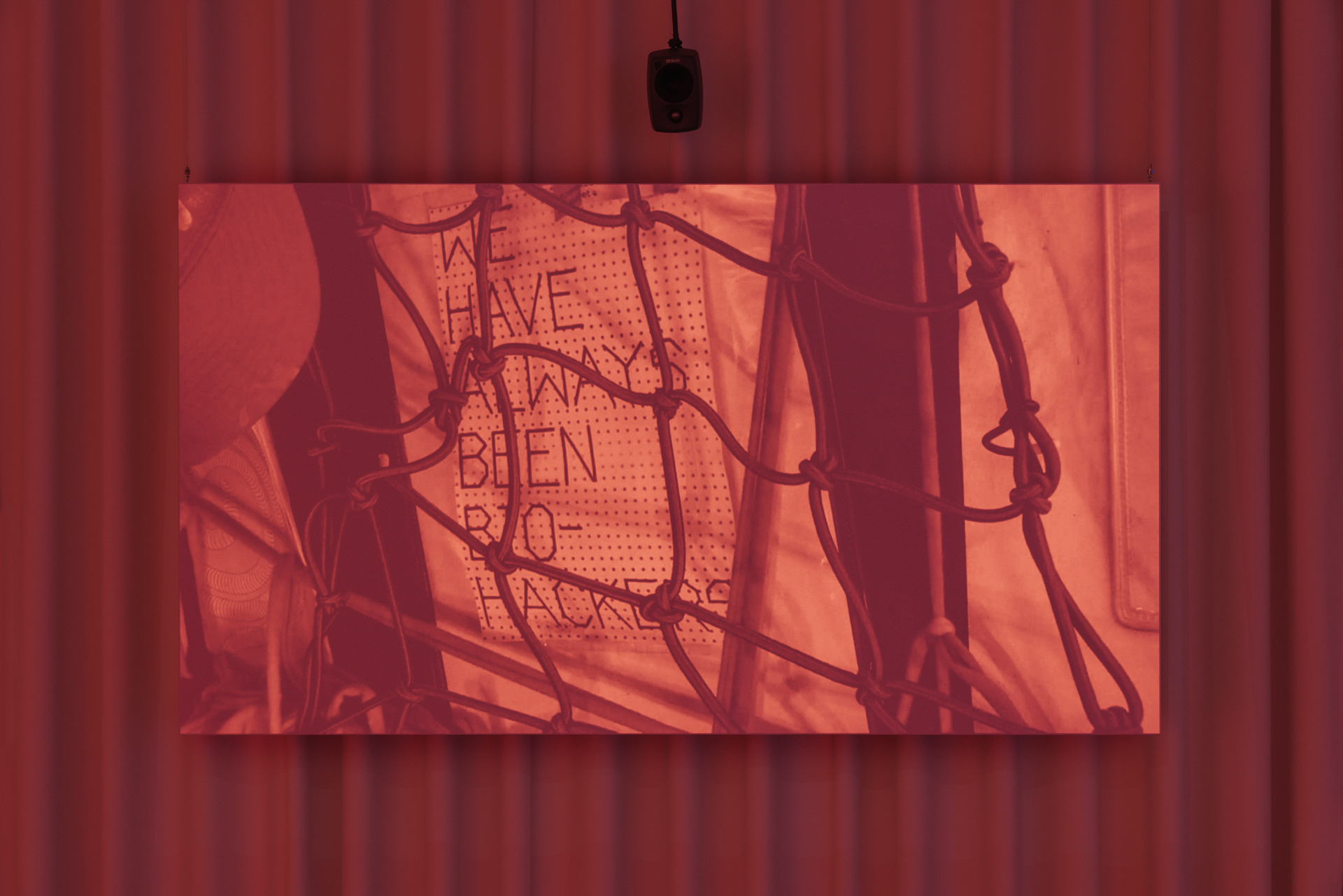 Diana Policarpo, Cyanovan (Protocol), 2020.