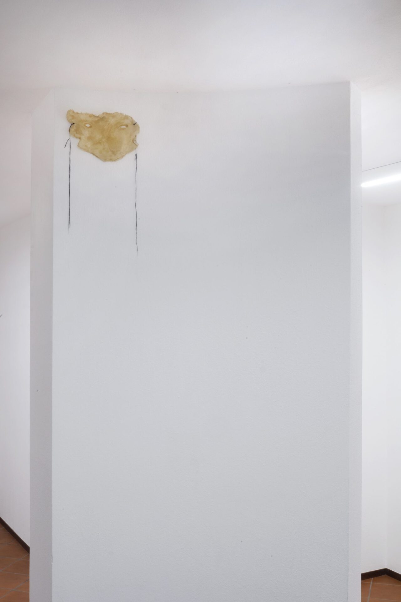 Lisa Lurati Untitled variable measures pigmented latex and cotton threads 2020