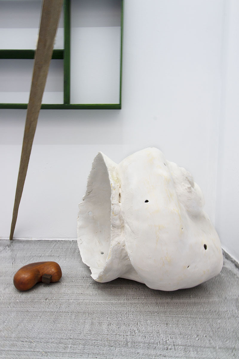 Installation view of Crabapple. Dmirtri Hertz