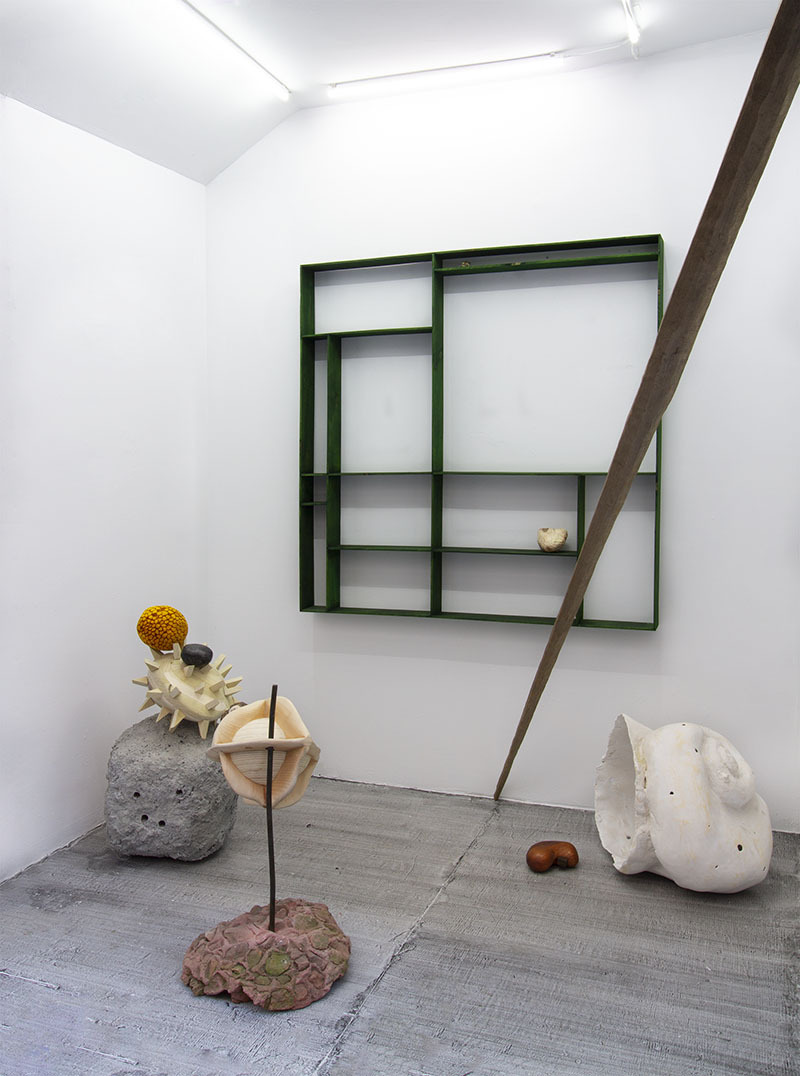 Installation view of Crabapple. Dmitri Hertz