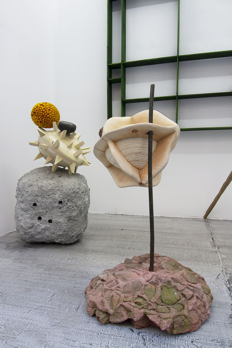 Installation view of Crabapple. Dmitri Hertz
