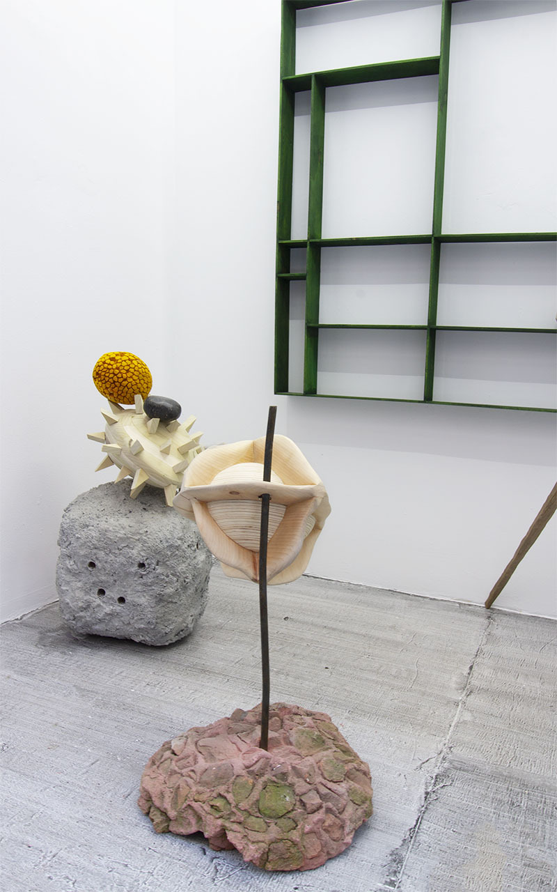 Installation view of Crabapple. Dmirtri Hertz