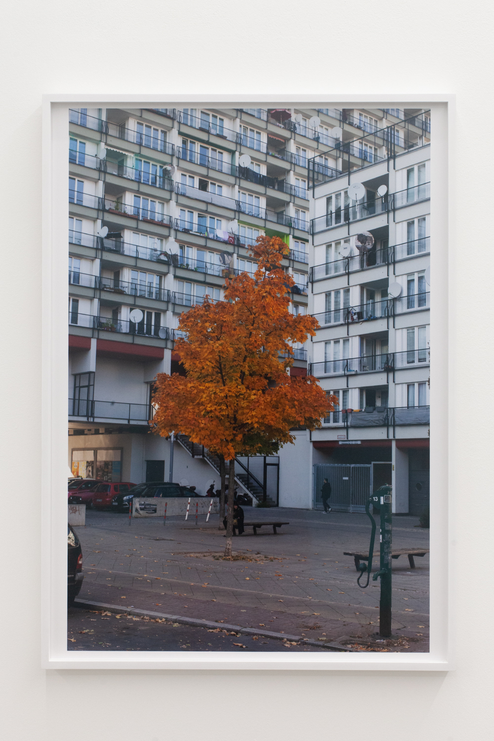Paul Hutchinson, Pallas, Herbst, 2019, Framed C-Print, 70 x 50 cm, Edition of 5 + 2 AP
