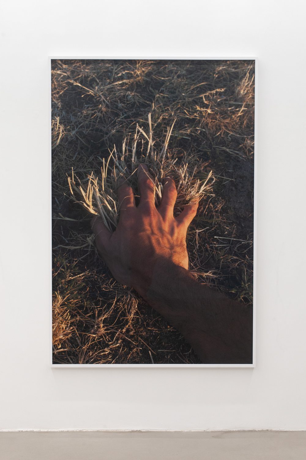 Paul Hutchinson, Hasenheide, sunset, 2018, Framed inkjet print, 195 x 130 cm, Edition of 1 + 1 AP